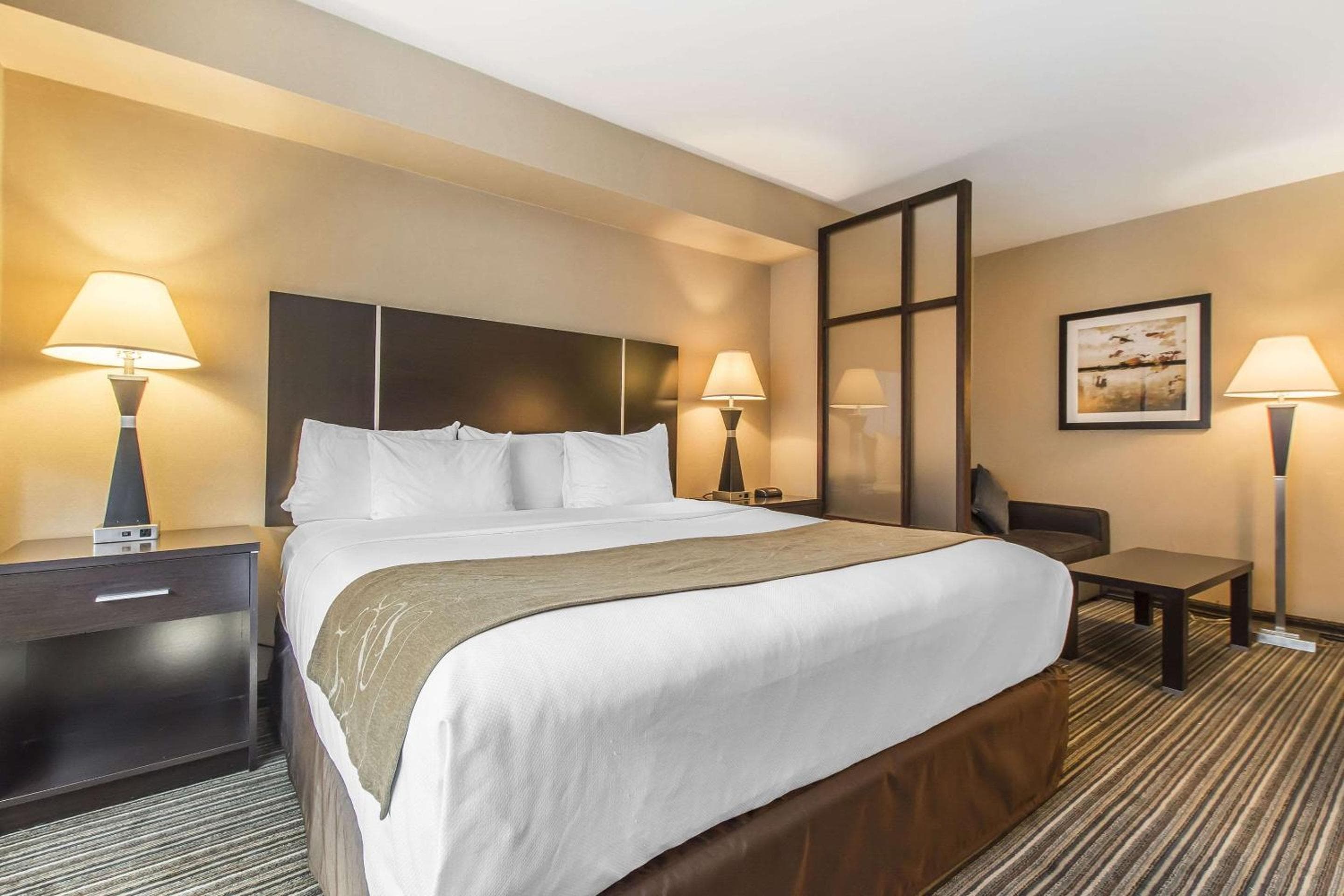 Comfort Suites Downtown