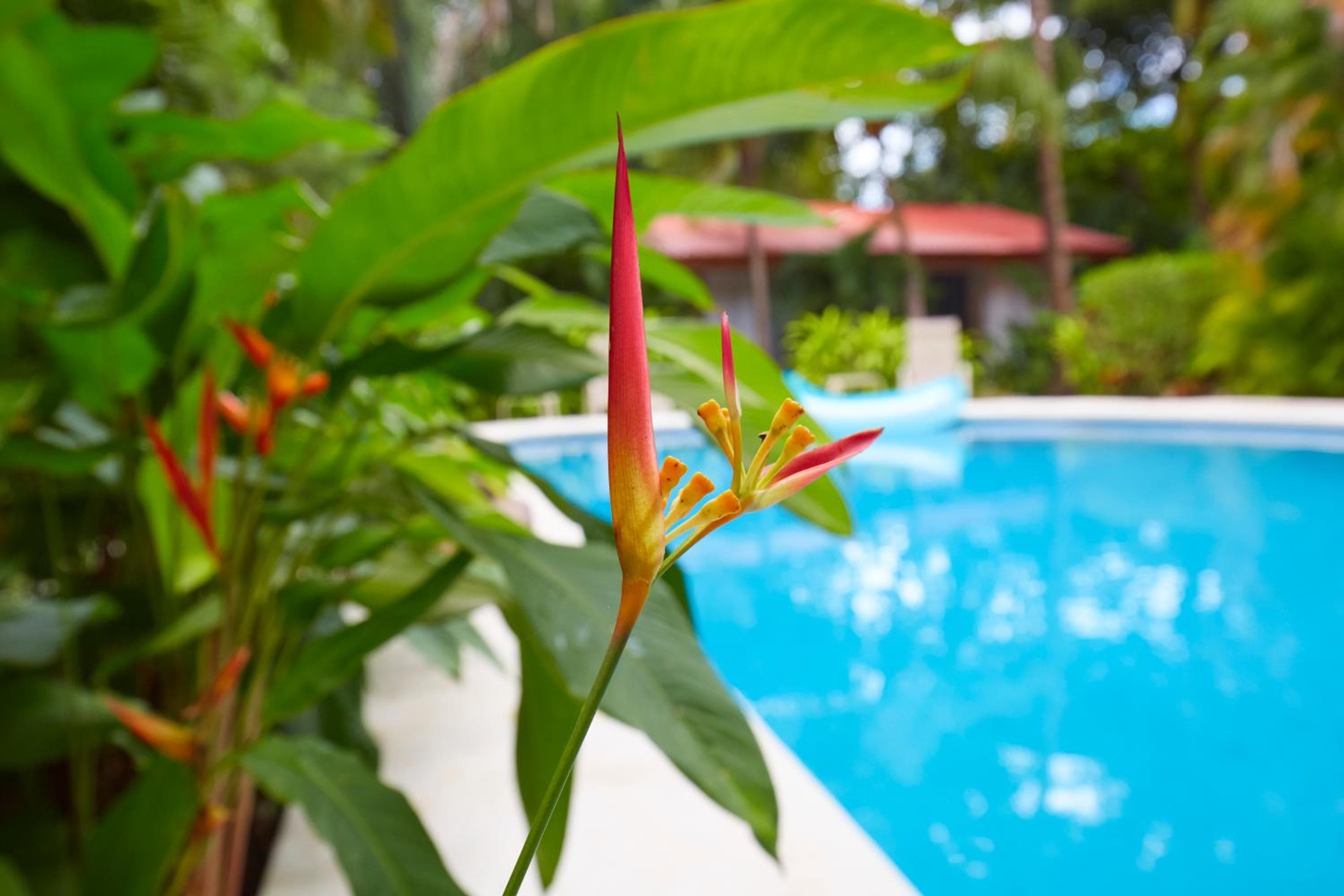 Living Hotel