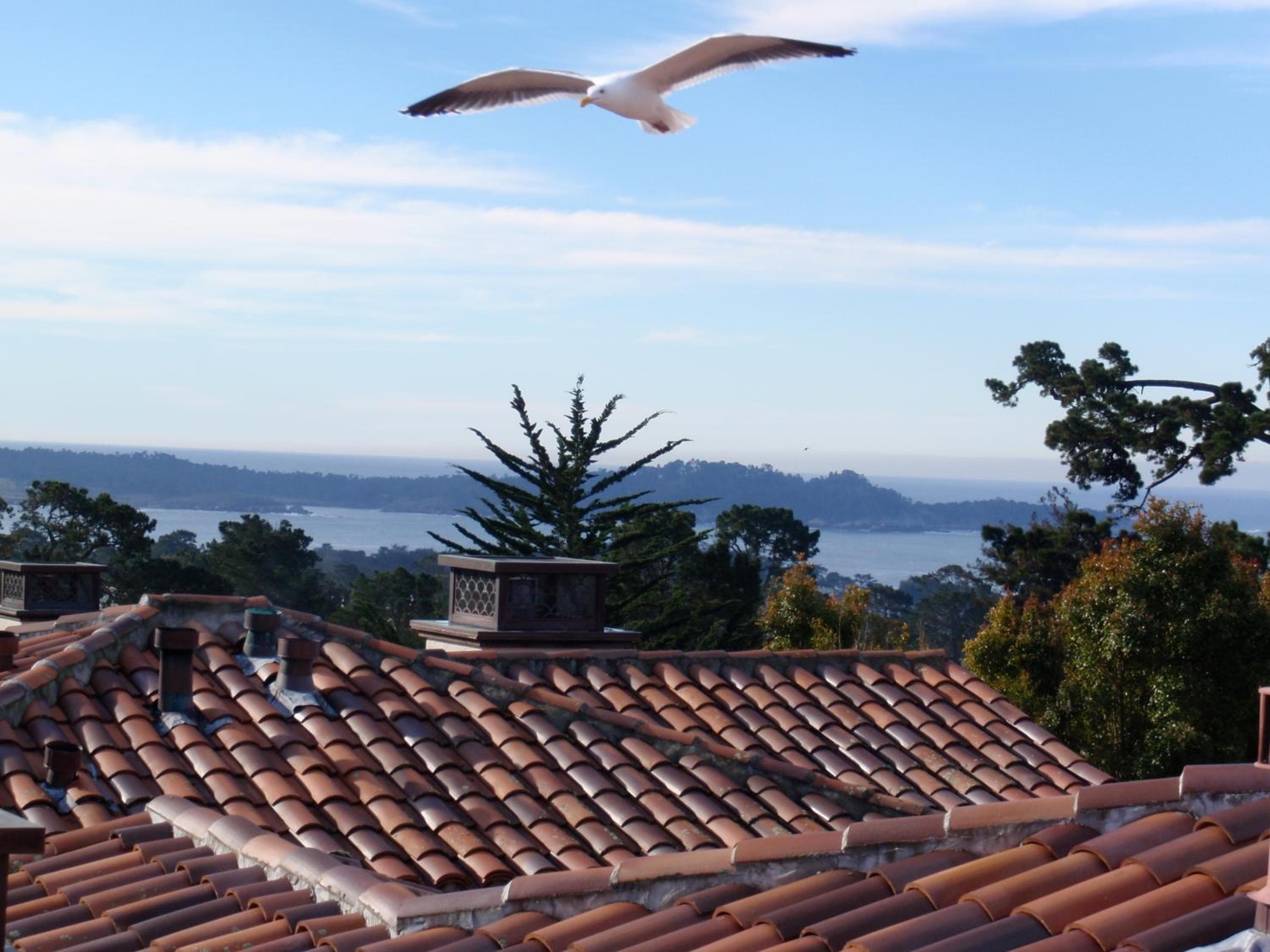 Horizon Inn & Ocean View Lodge