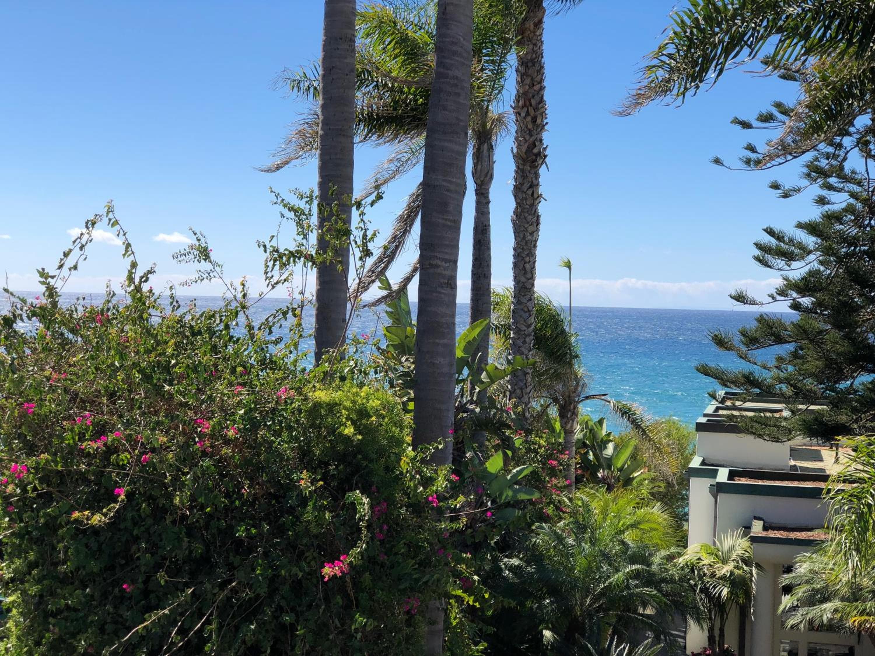 Seaside Laguna Inn & Suites