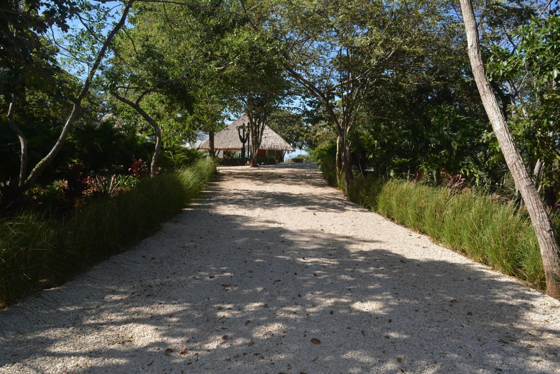 Mikado Natural Lodge