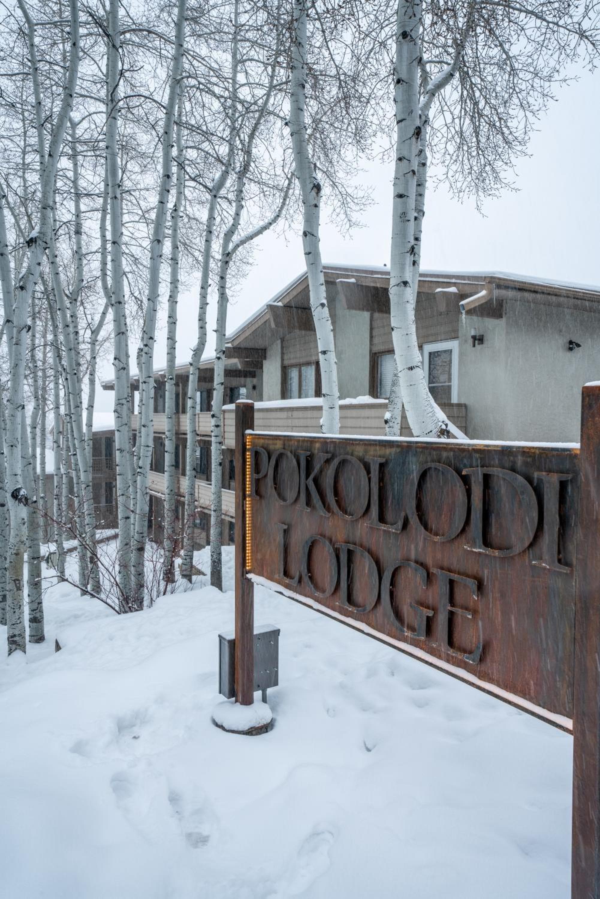 Pokolodi Lodge