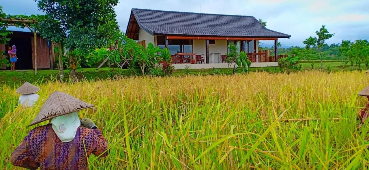 KUBU D'UME HOMESTAY