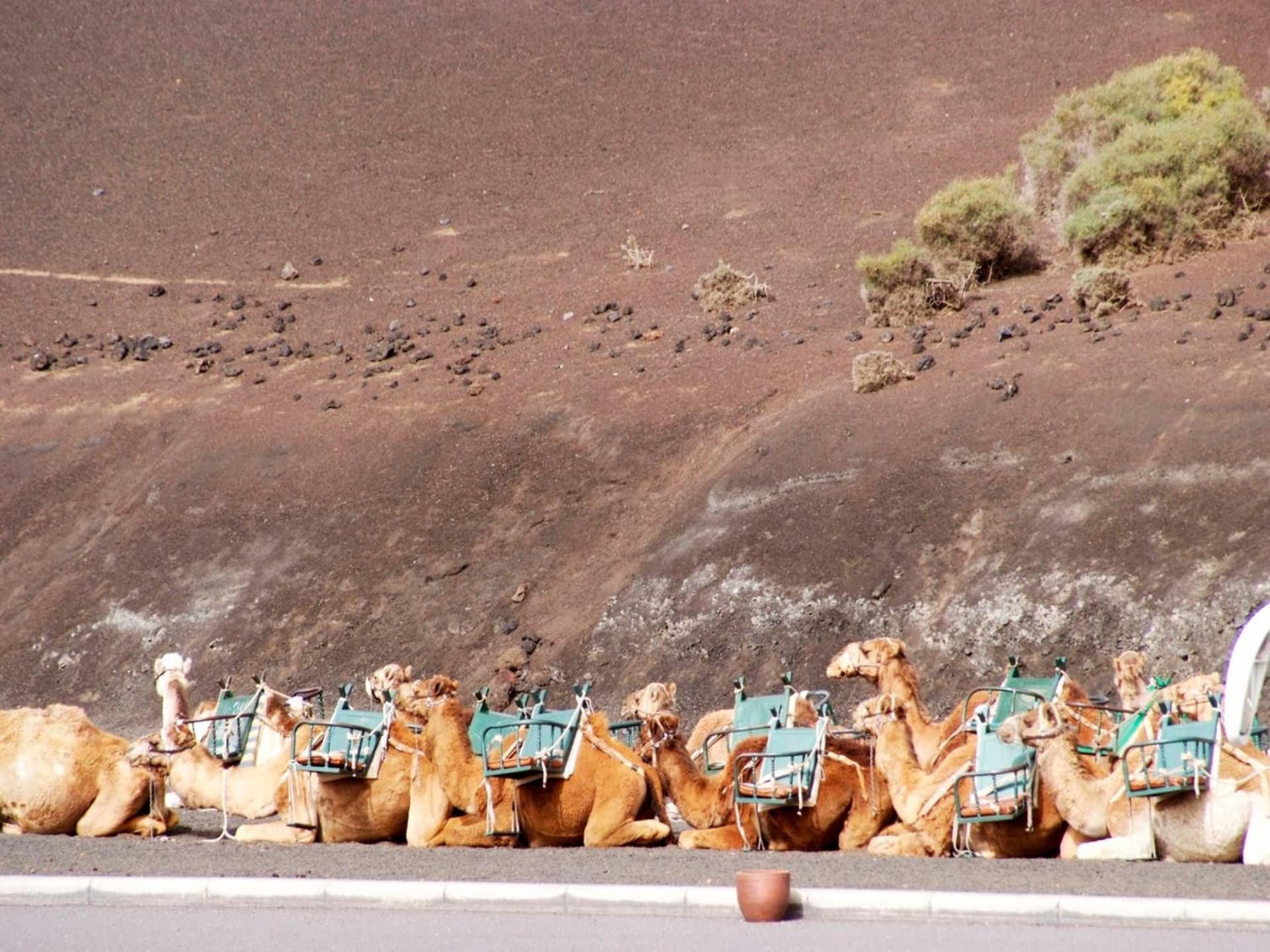 Sandos Papagayo
