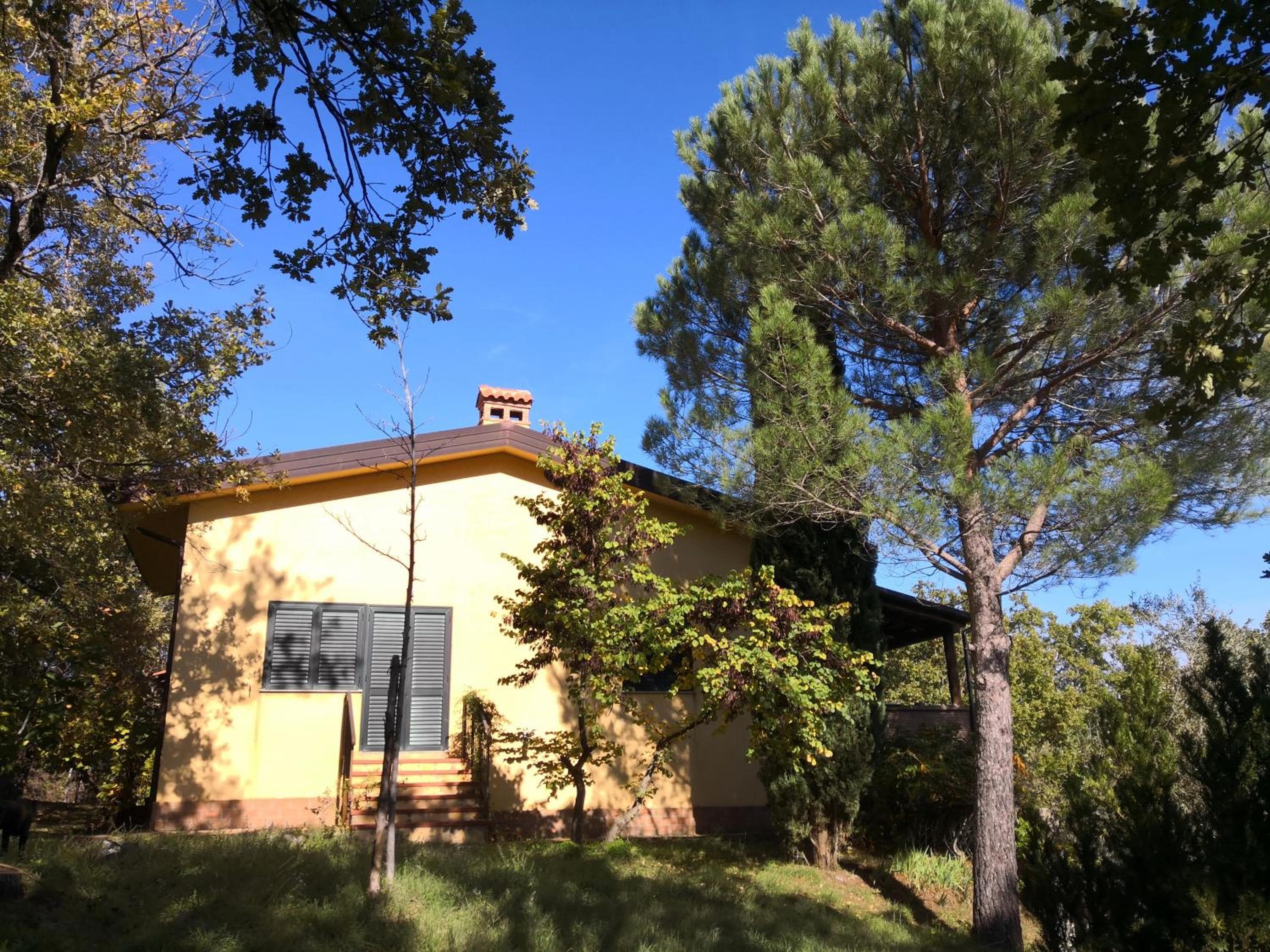 La tana del riccio