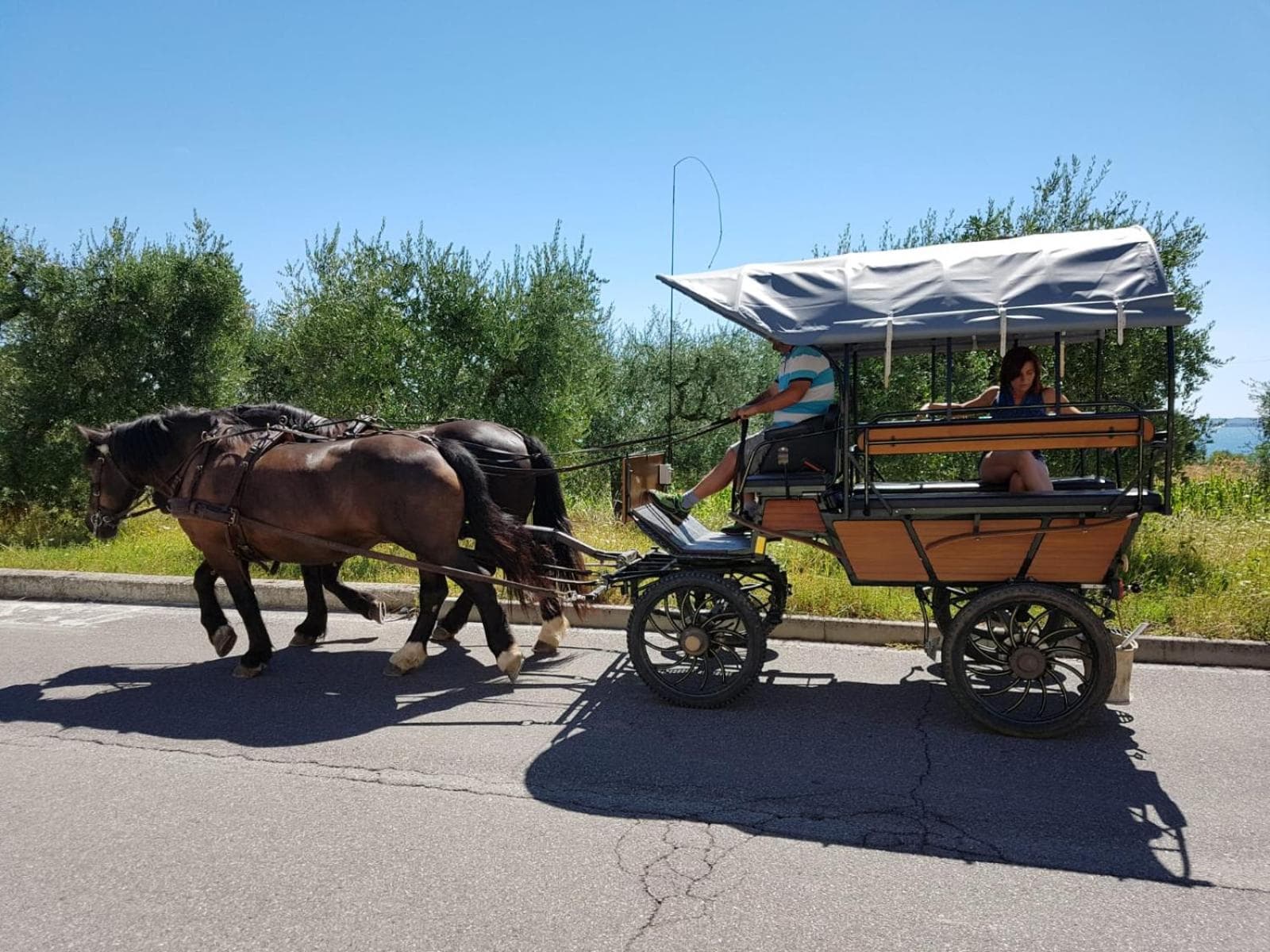 Lamasu RioVerde - Lago di Garda