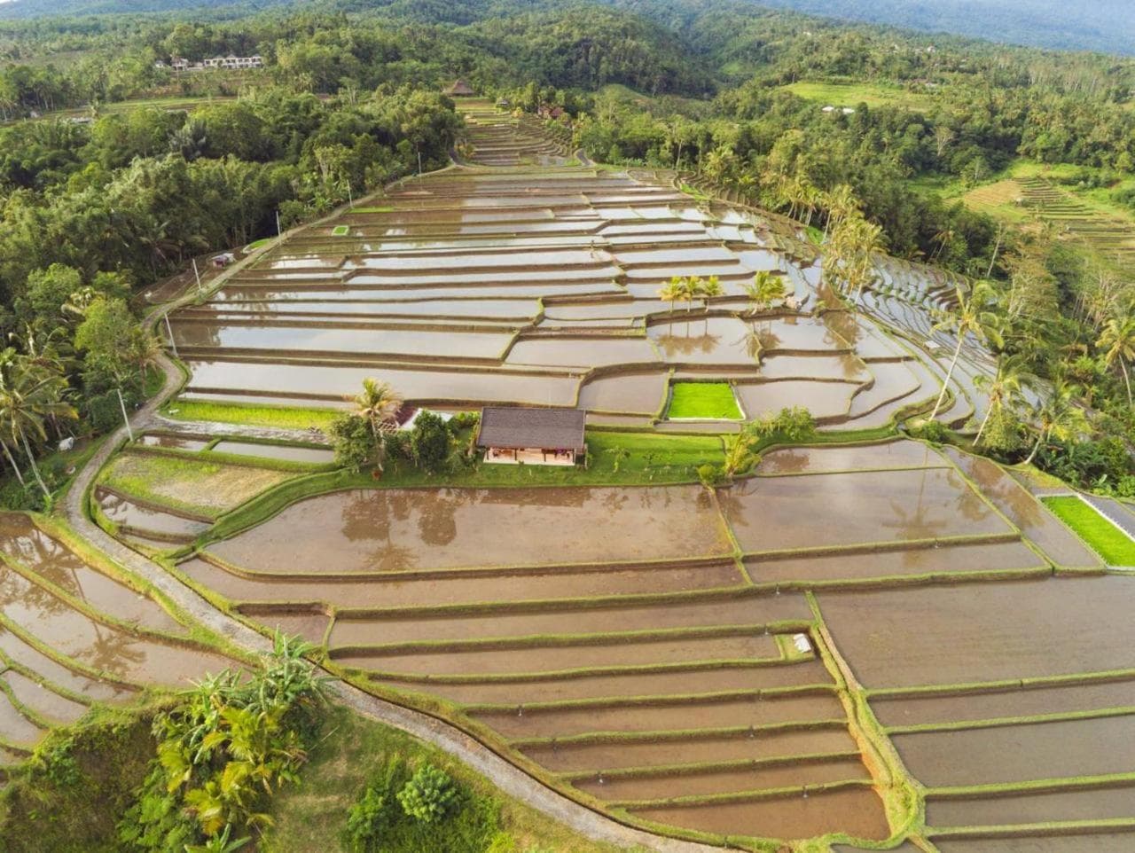 KUBU D'UME HOMESTAY