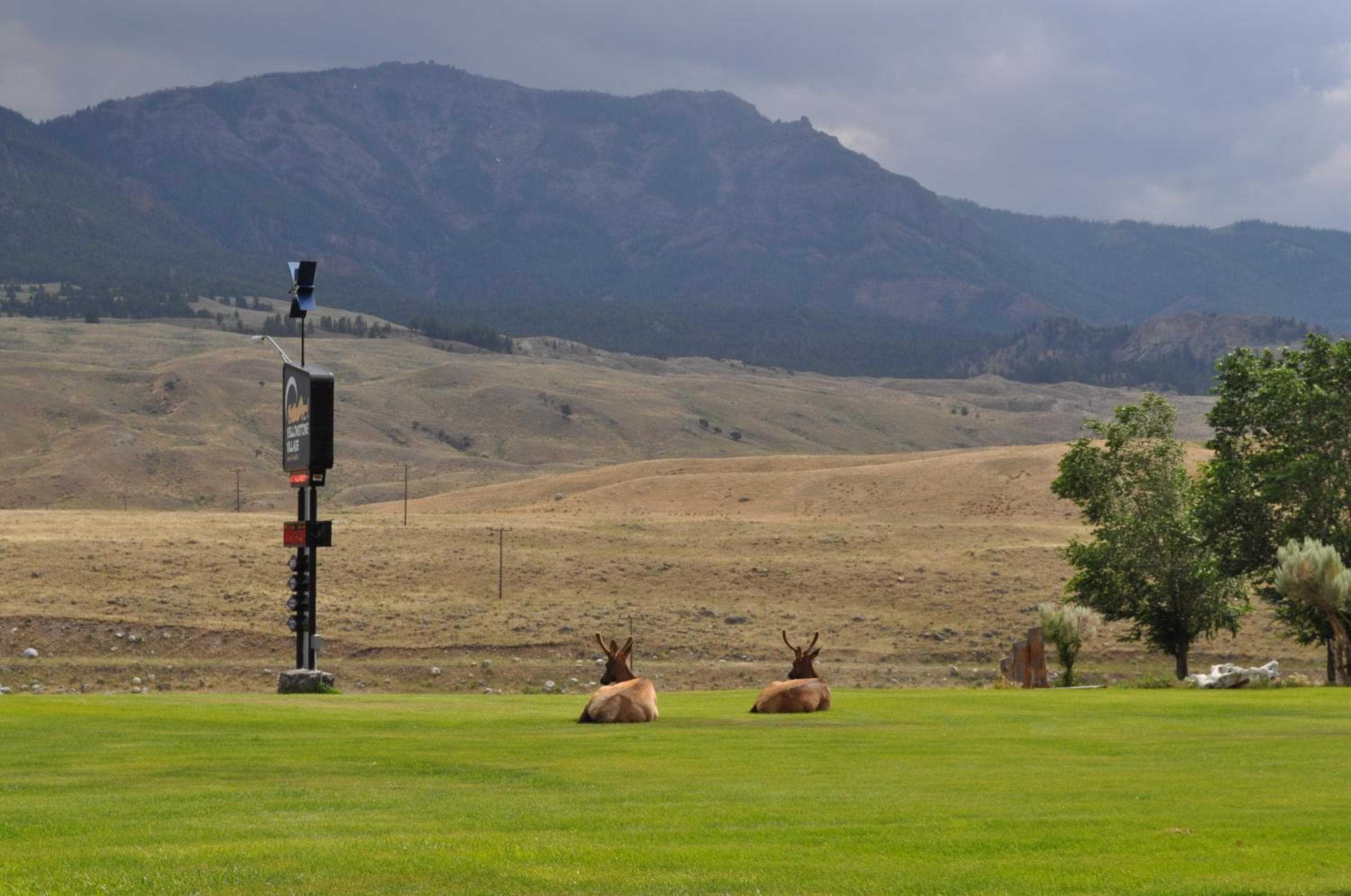 Yellowstone Village Inn and Suites