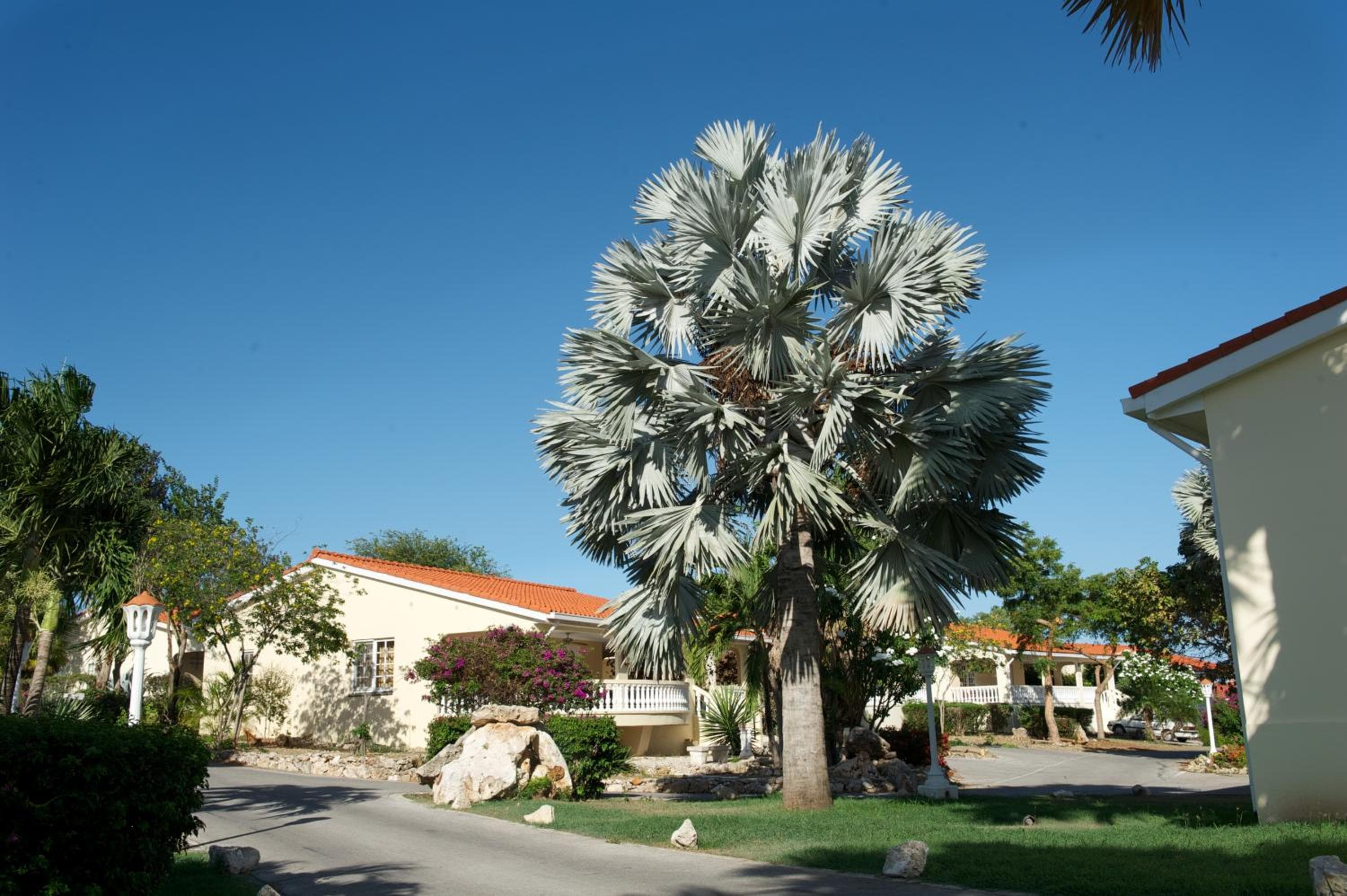 Sonesta Hotels & Resorts Livingstone Curacao