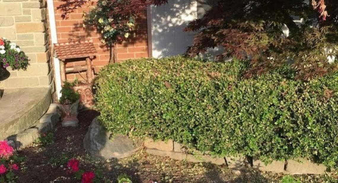 Cobblestone Bed and Breakfast