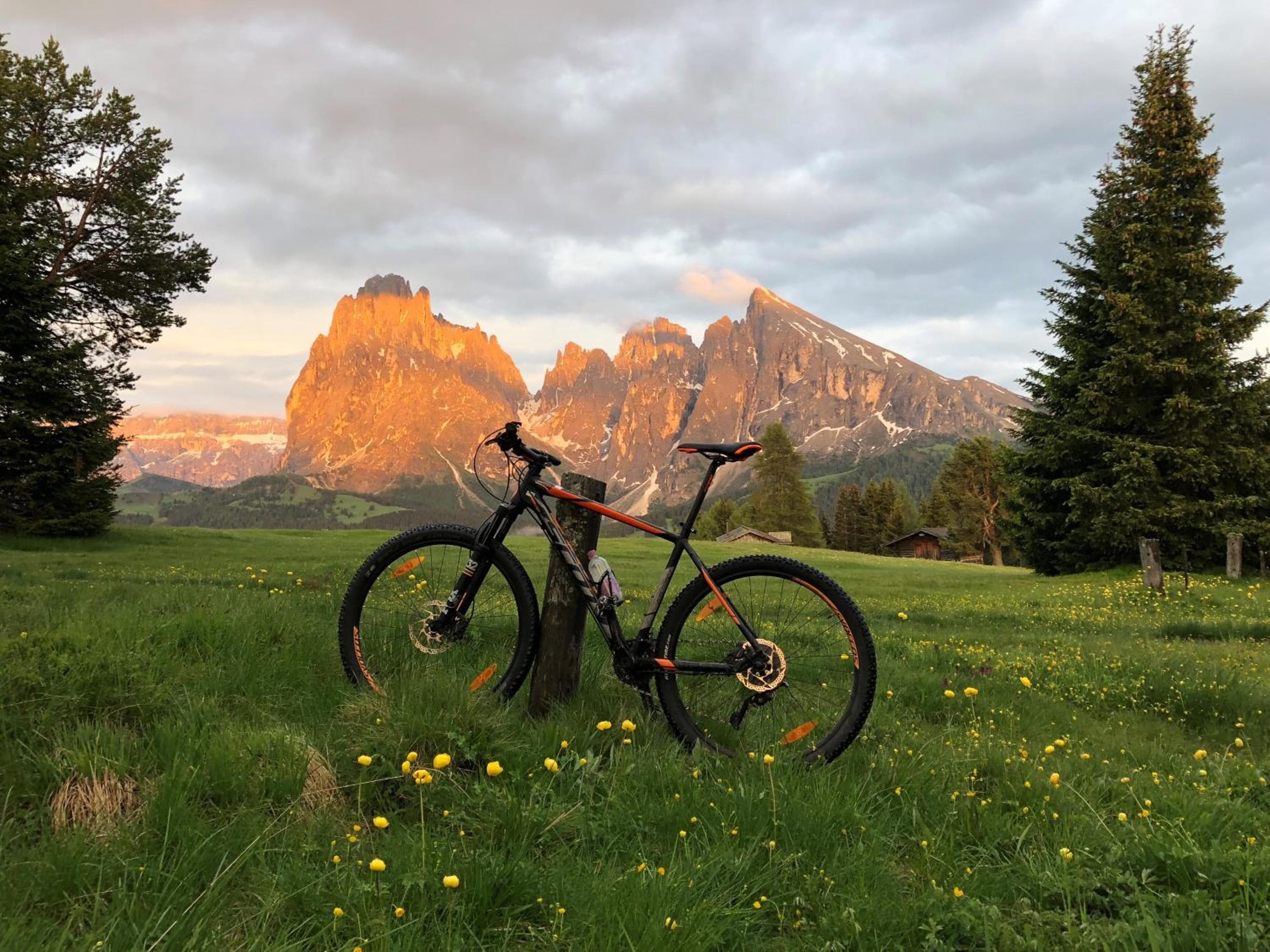 Saltria - your Alpine experience