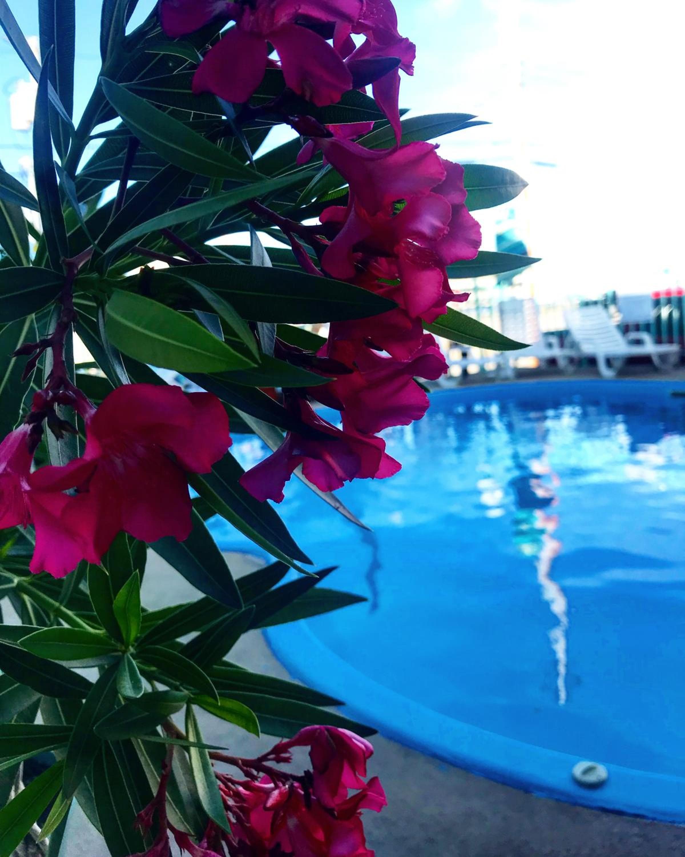 Sea Scape Inn - A Fine Family Destination