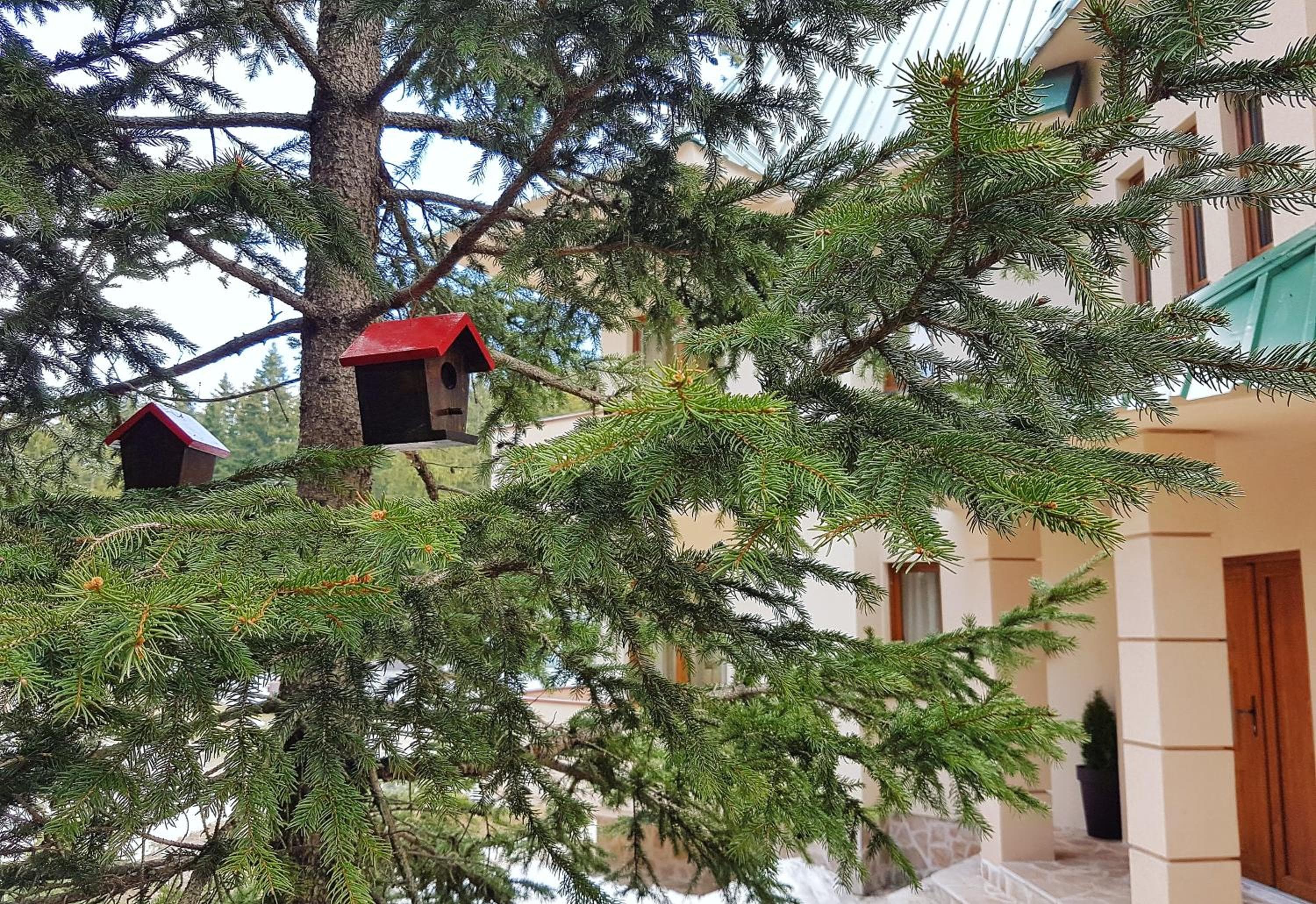 Apartmani Bijelic