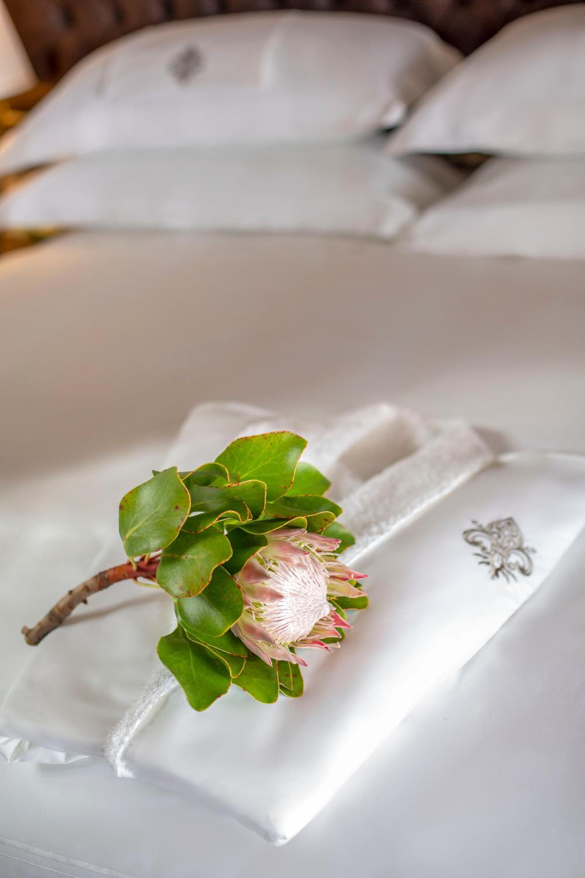 Zevenster Boutique Hotel by The Giglio