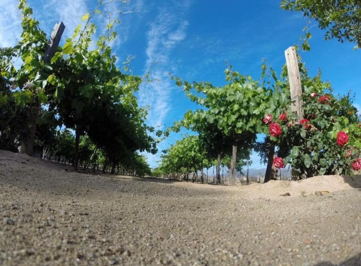 Finca Chavez