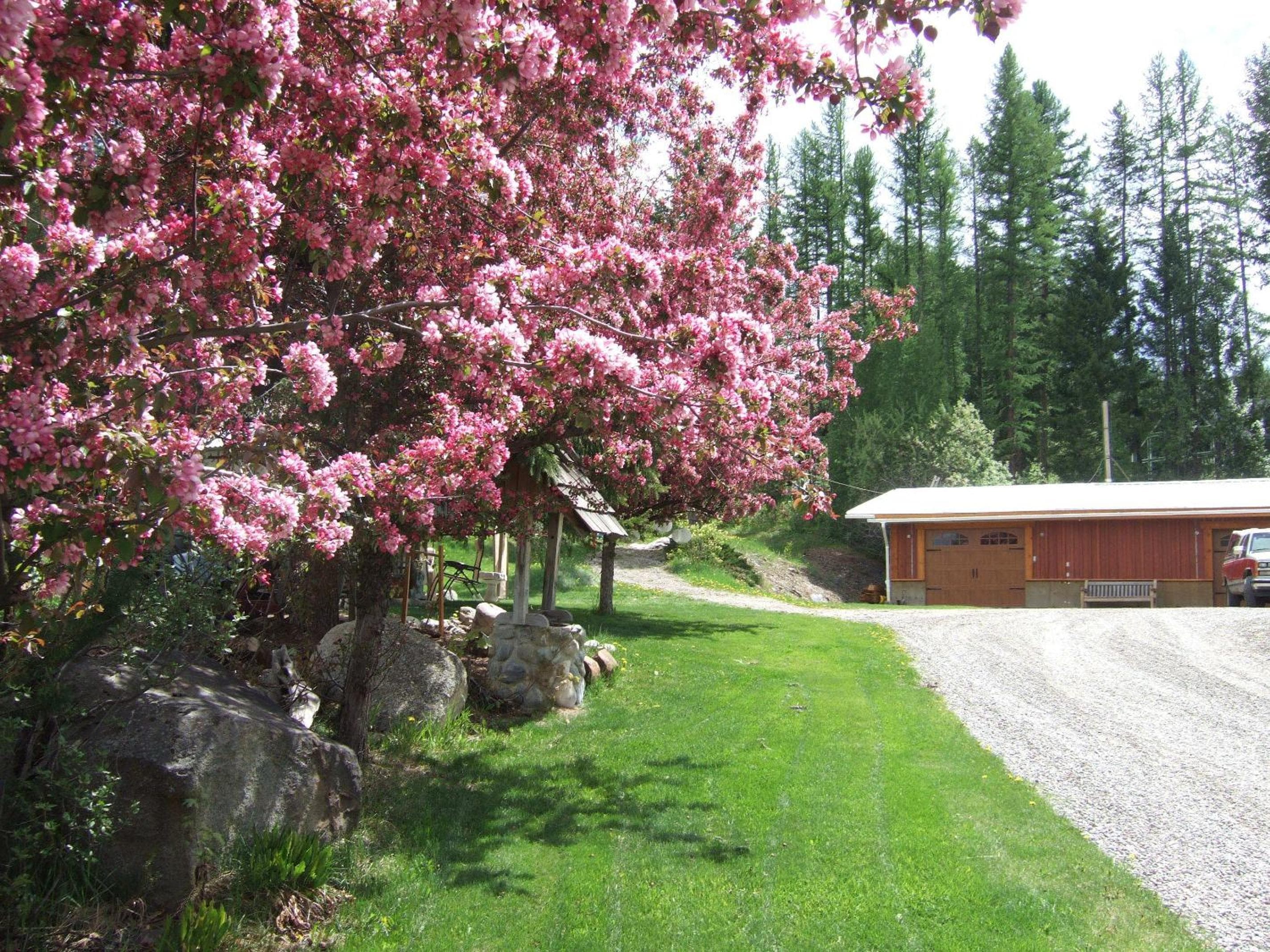 North Star Motel