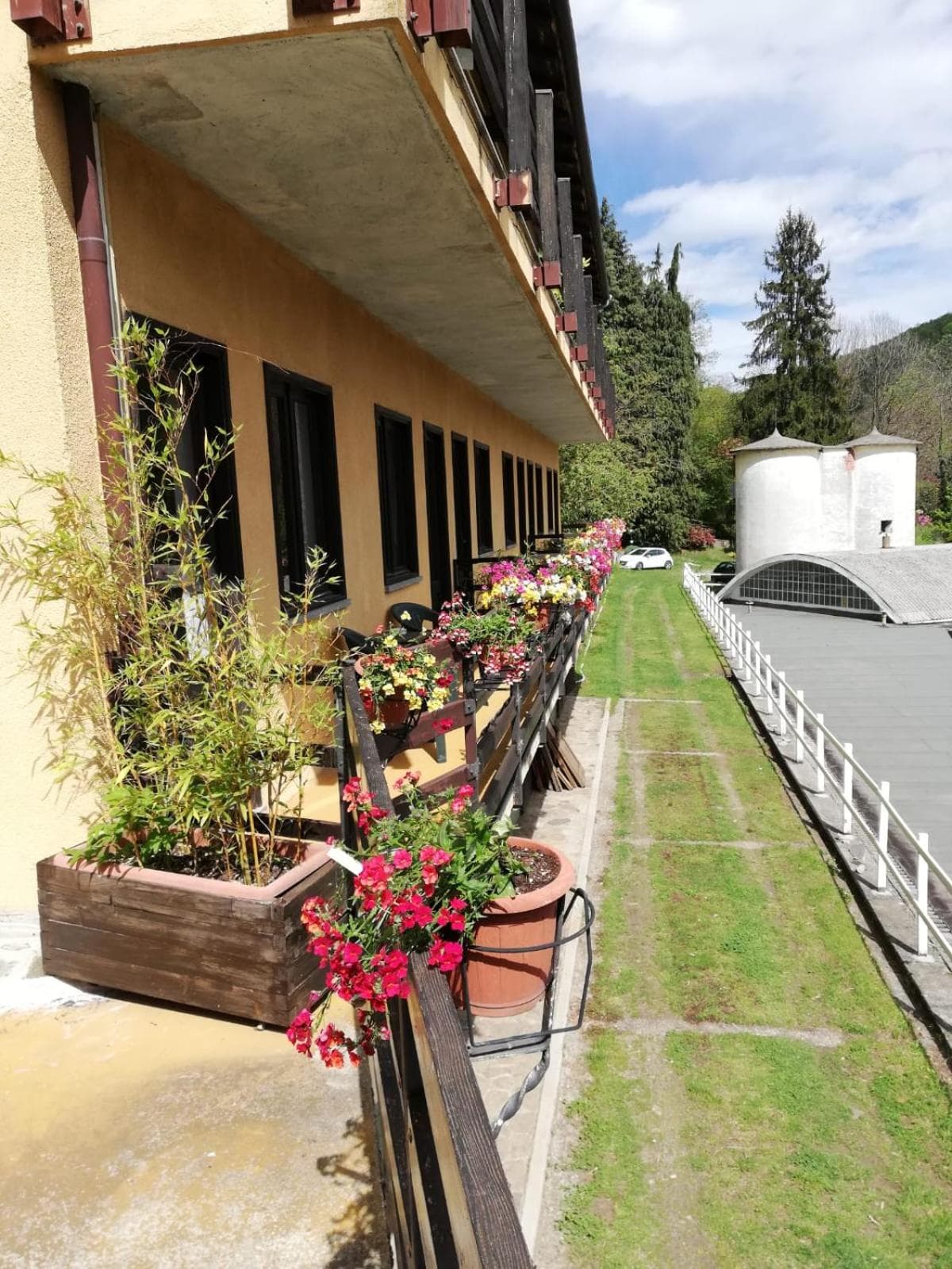 Fattoria del pino