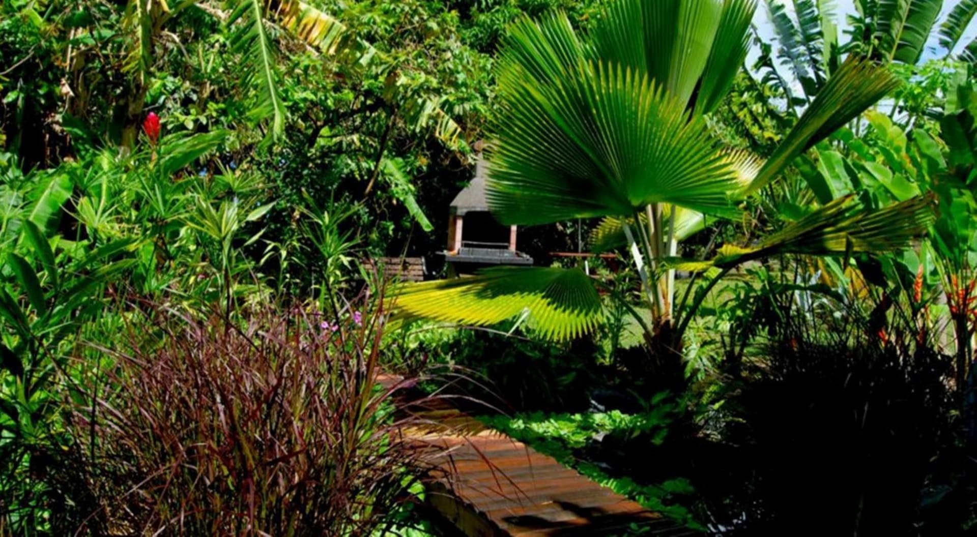 Résidence Paradis Tropical