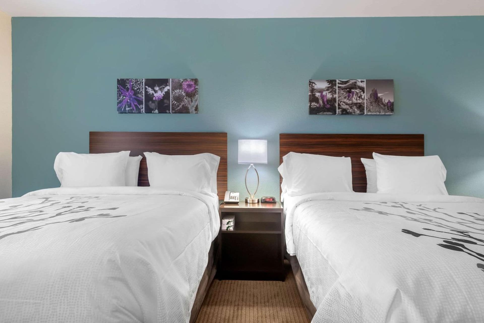 Sleep Inn & Suites Bricktown - near Medical Center