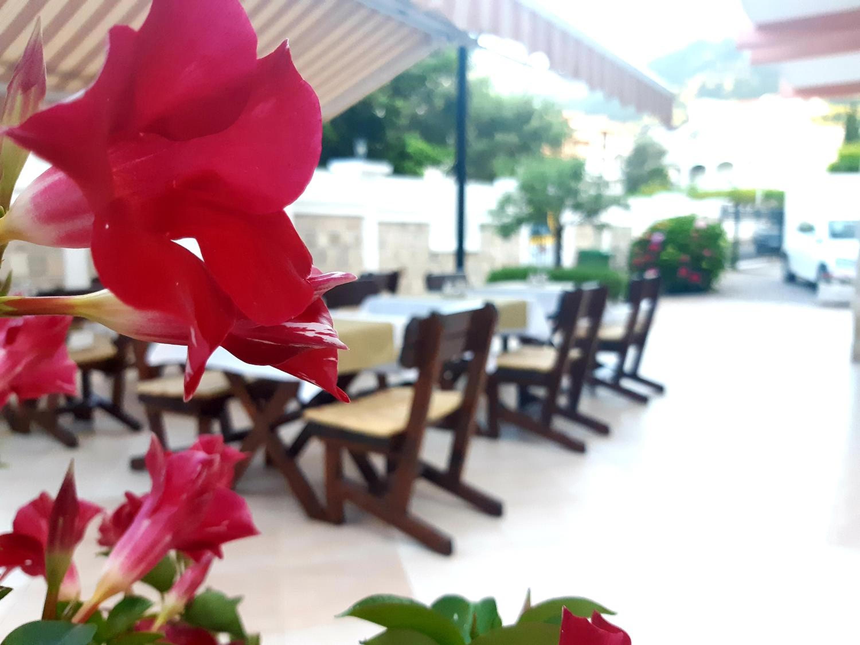 Garni Hotel Koral