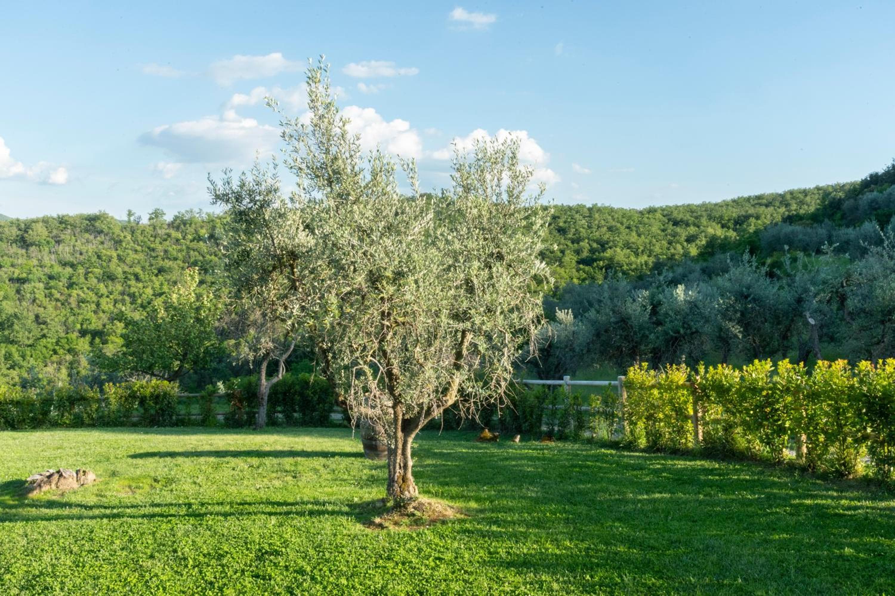 La Rimbecca Greve in Chianti