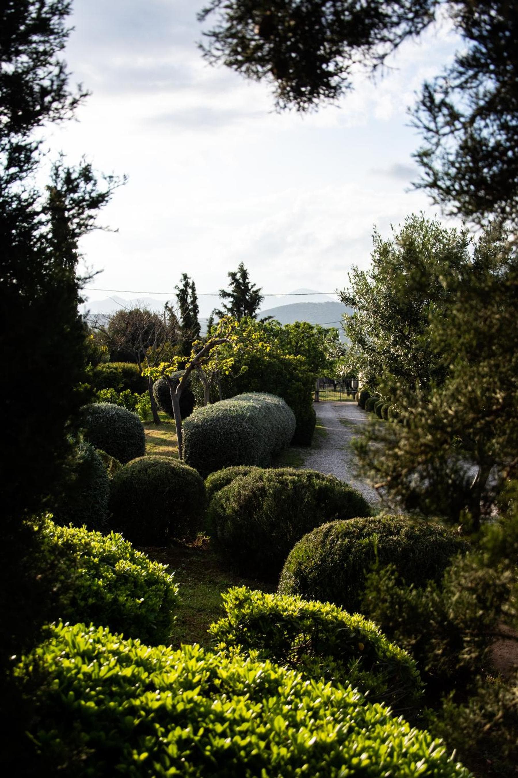 Villa Rosa with private pool, Athens Riviera
