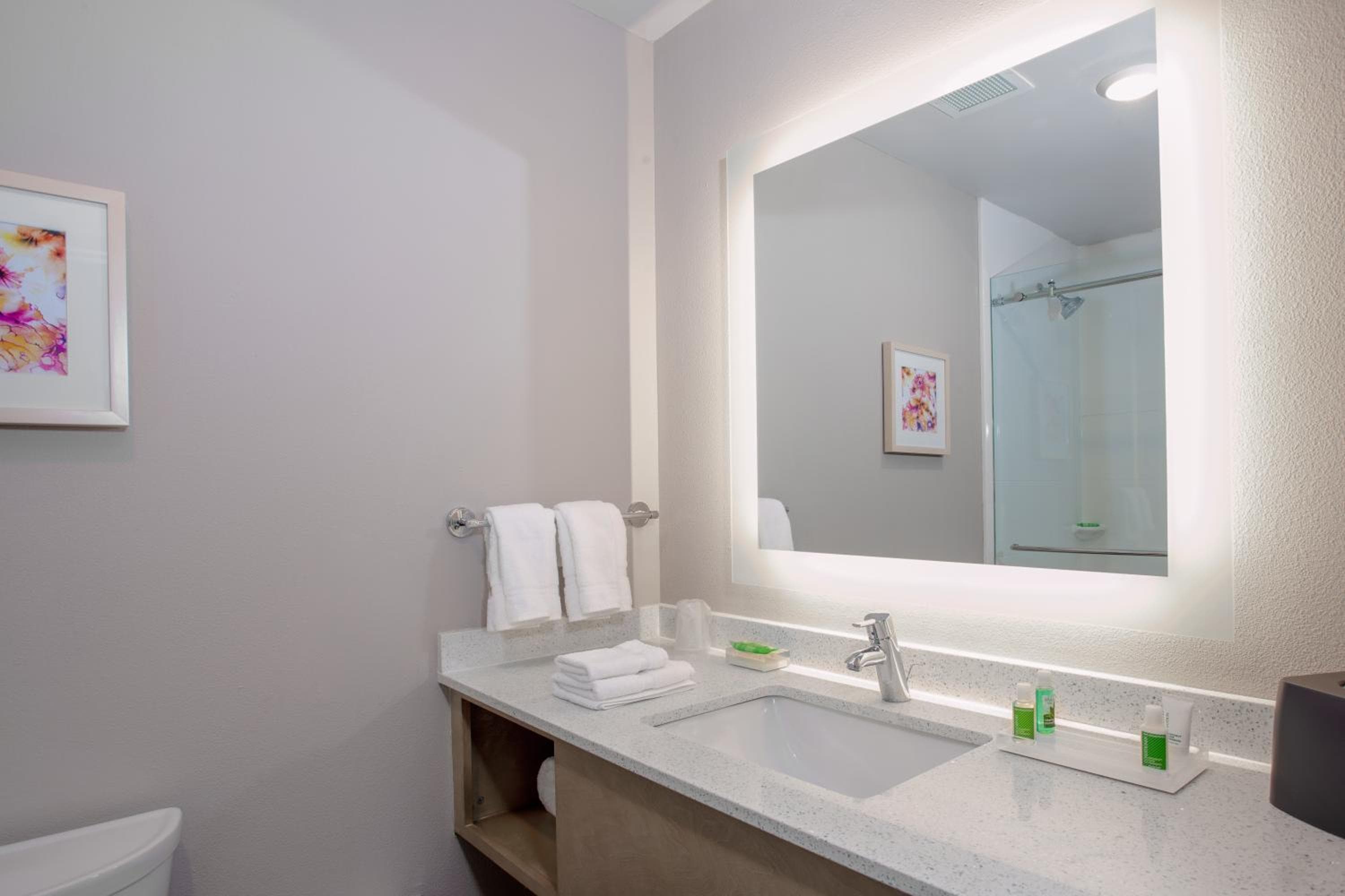 Holiday Inn - Tallahassee E Capitol - Univ by IHG