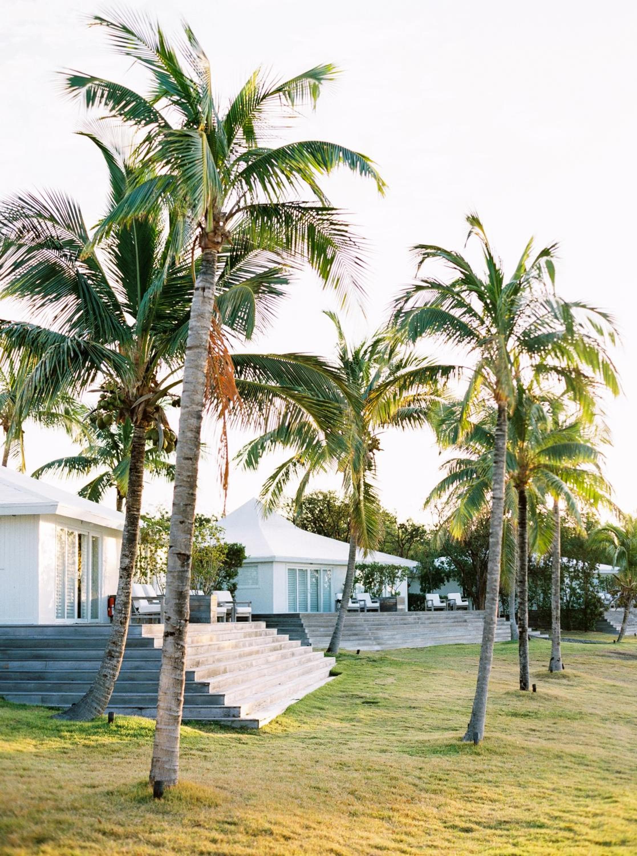 The Cove Eleuthera