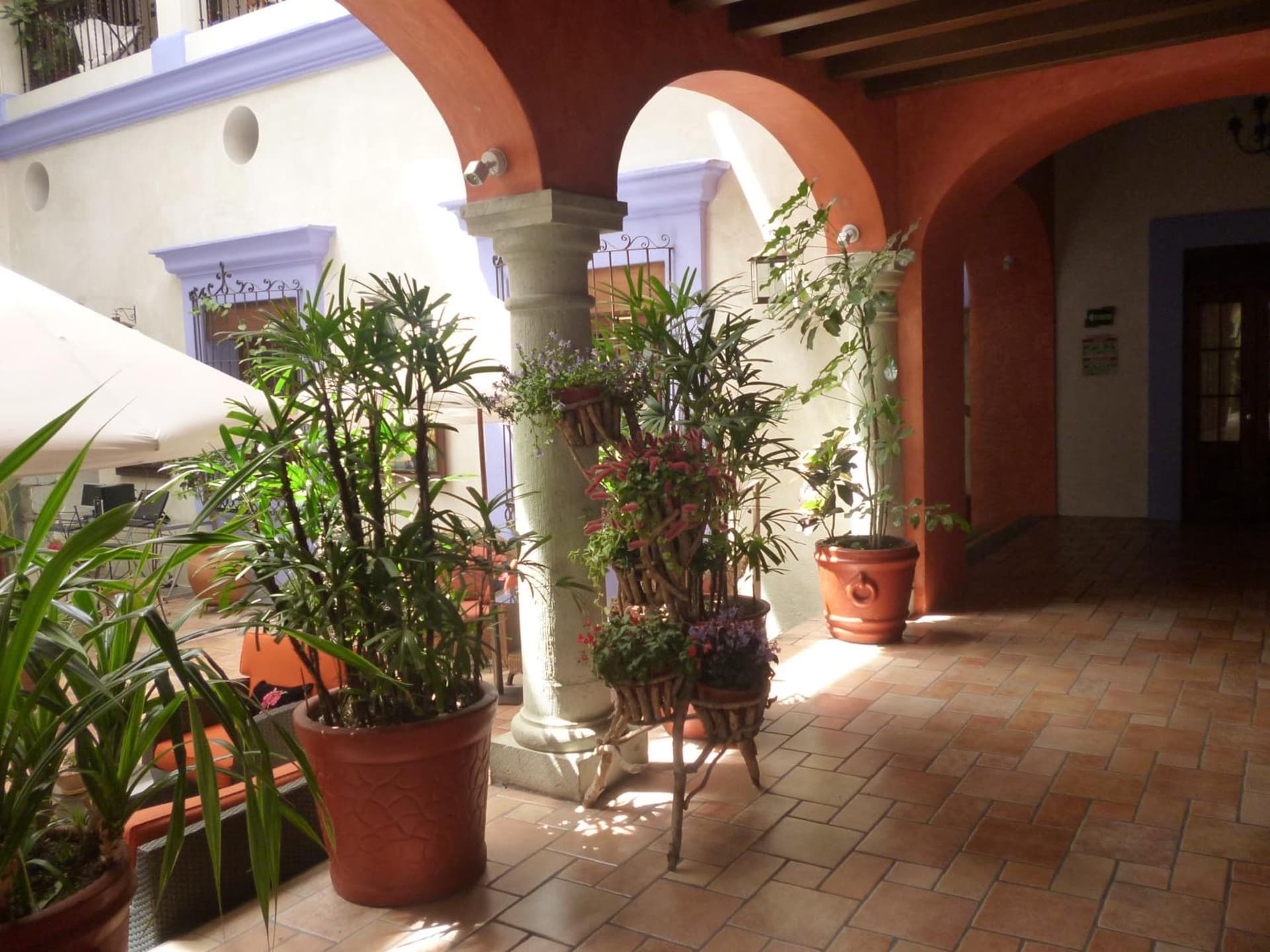 Hotel Trébol