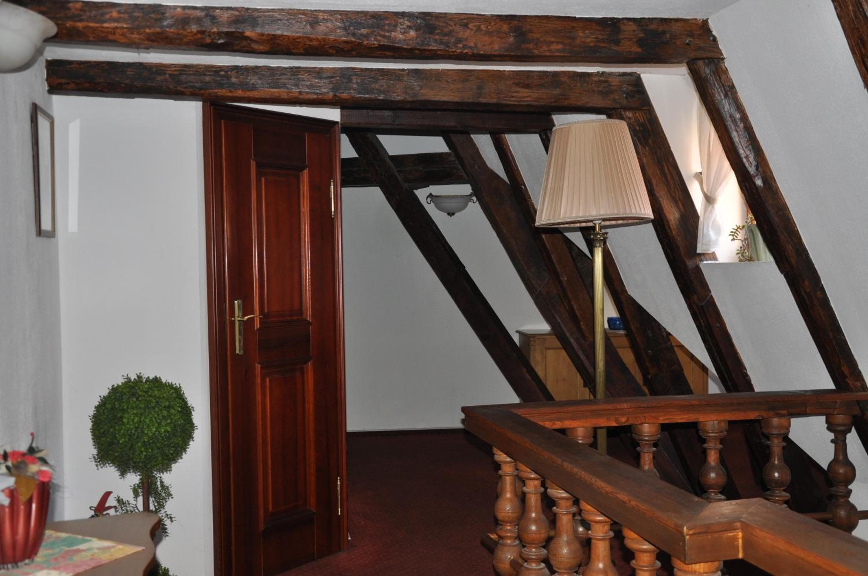 Hotel Cerny Slon