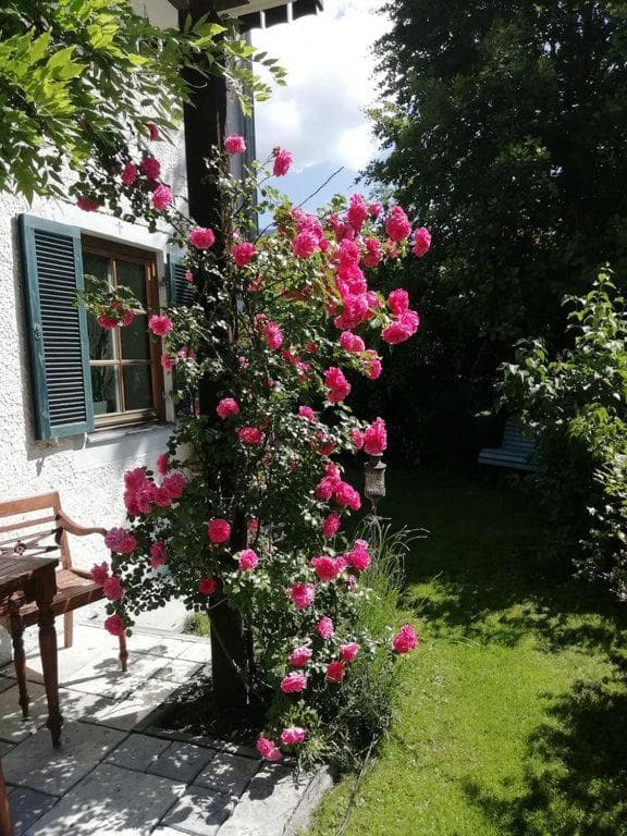 König Ludwig' das märchenhafte Appartement