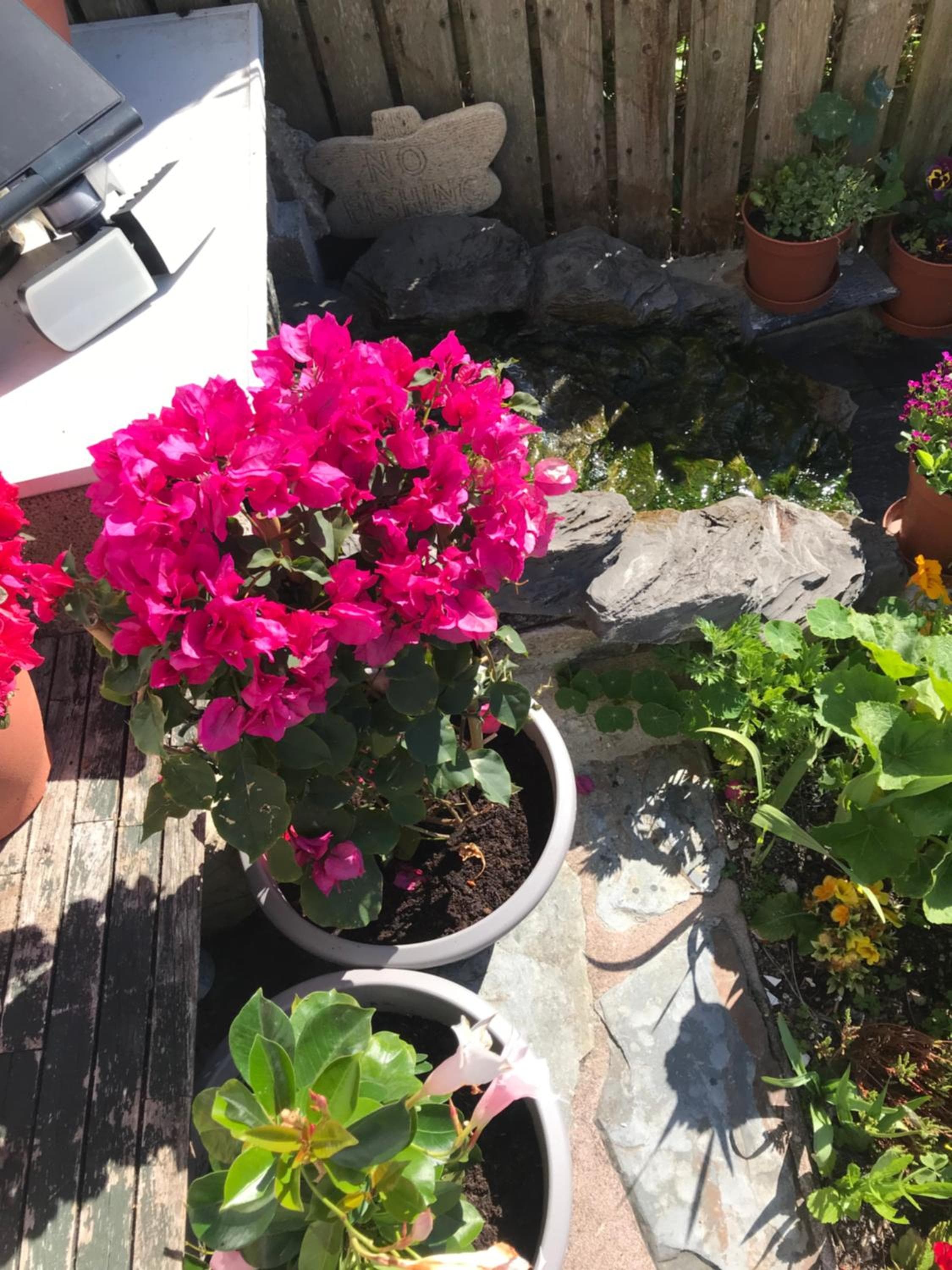 Poltair Guest House