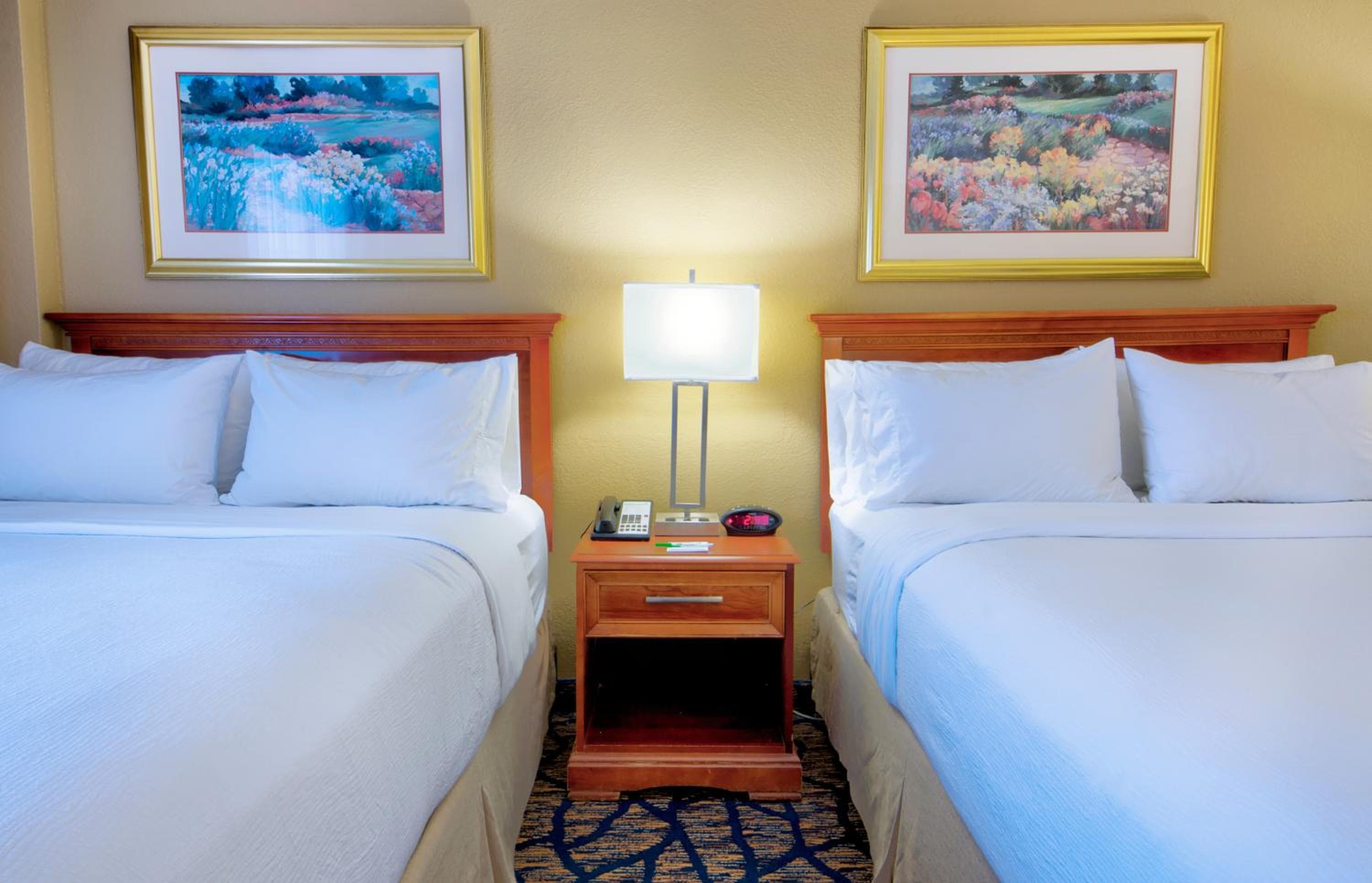 Holiday Inn Gainesville-University Center by IHG