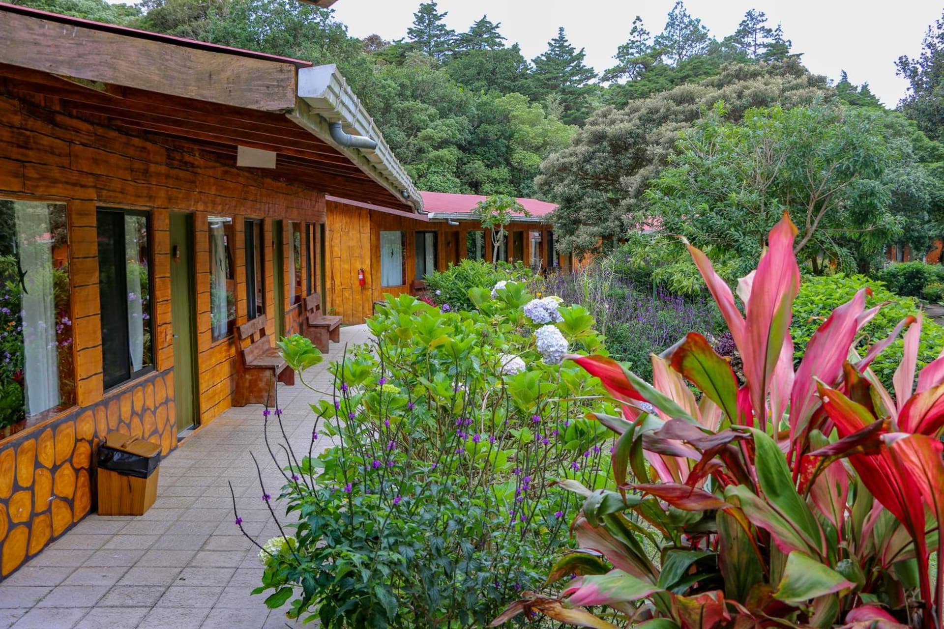 Elida Lodge Monteverde