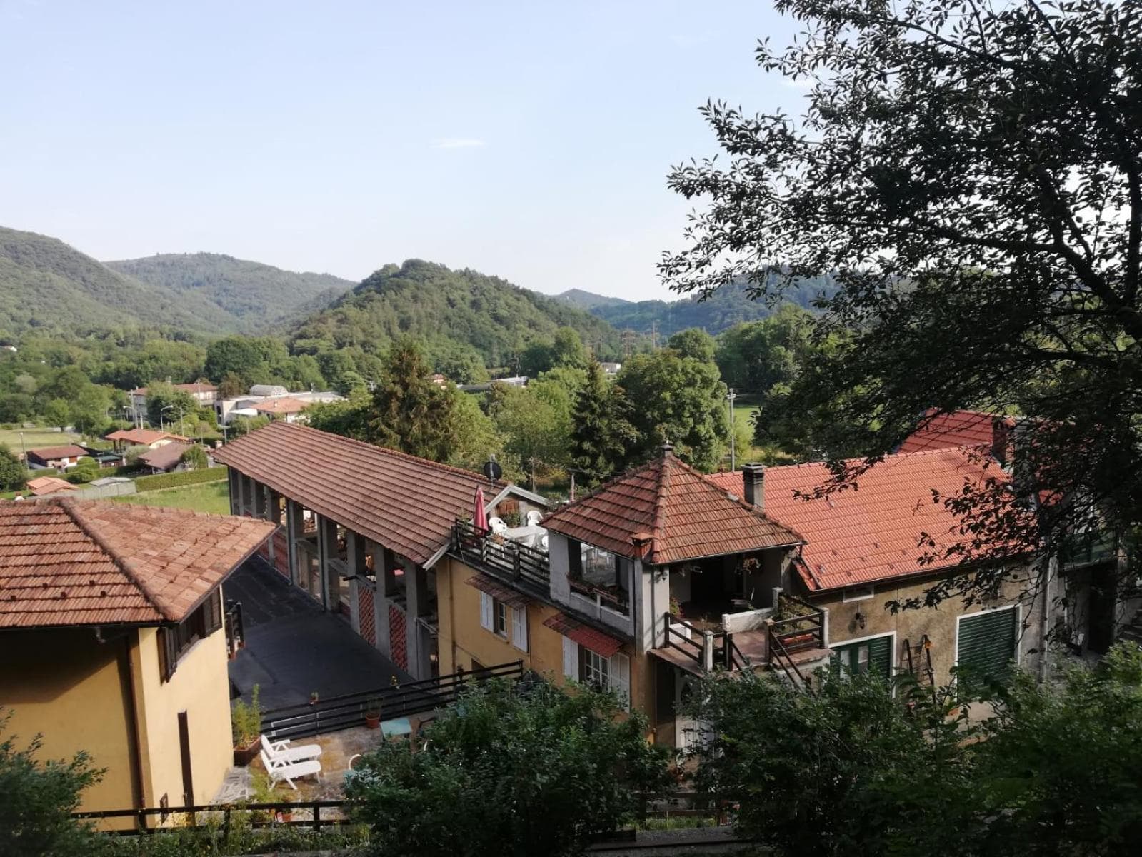 Fattoria del pino