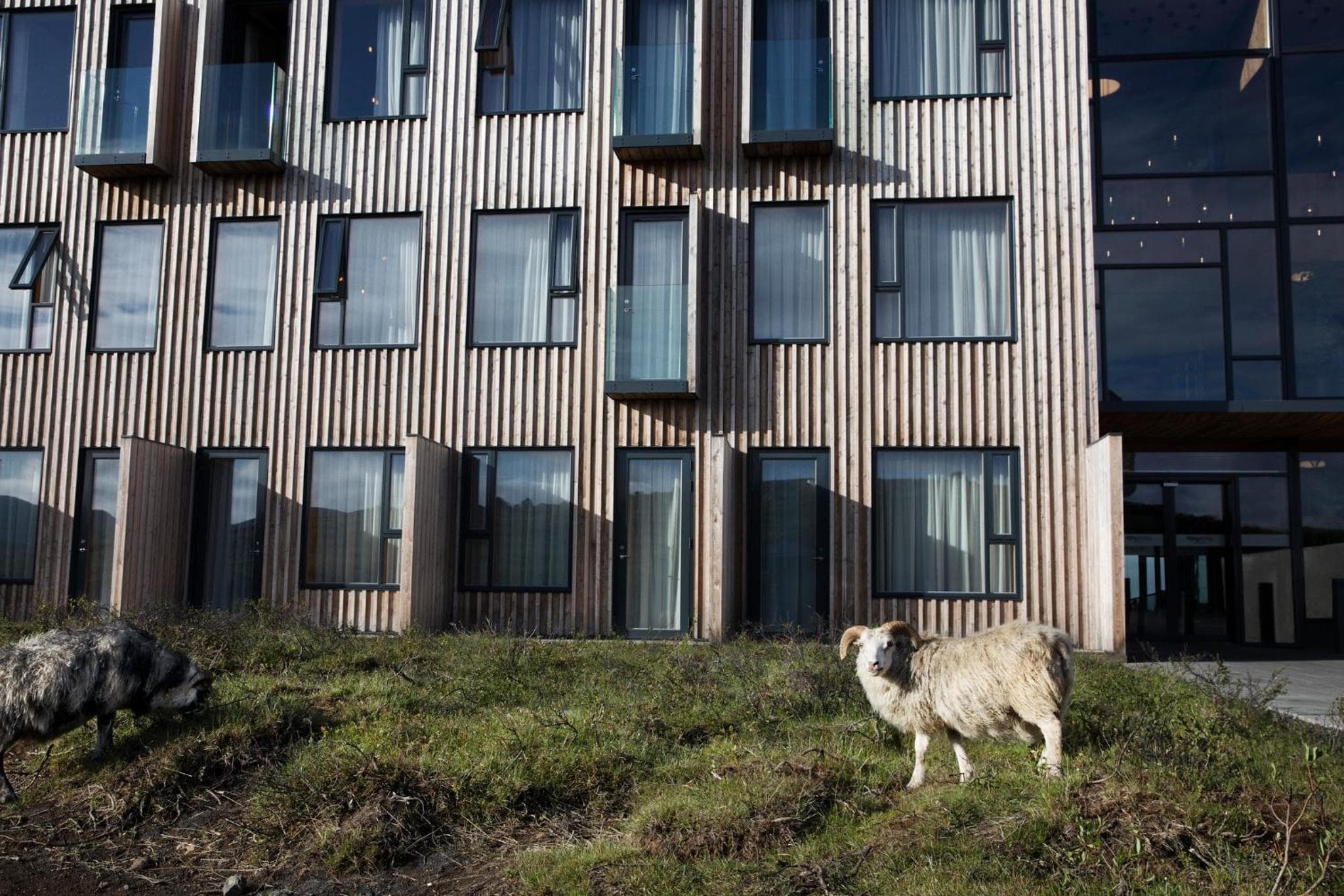 Fosshotel Mývatn