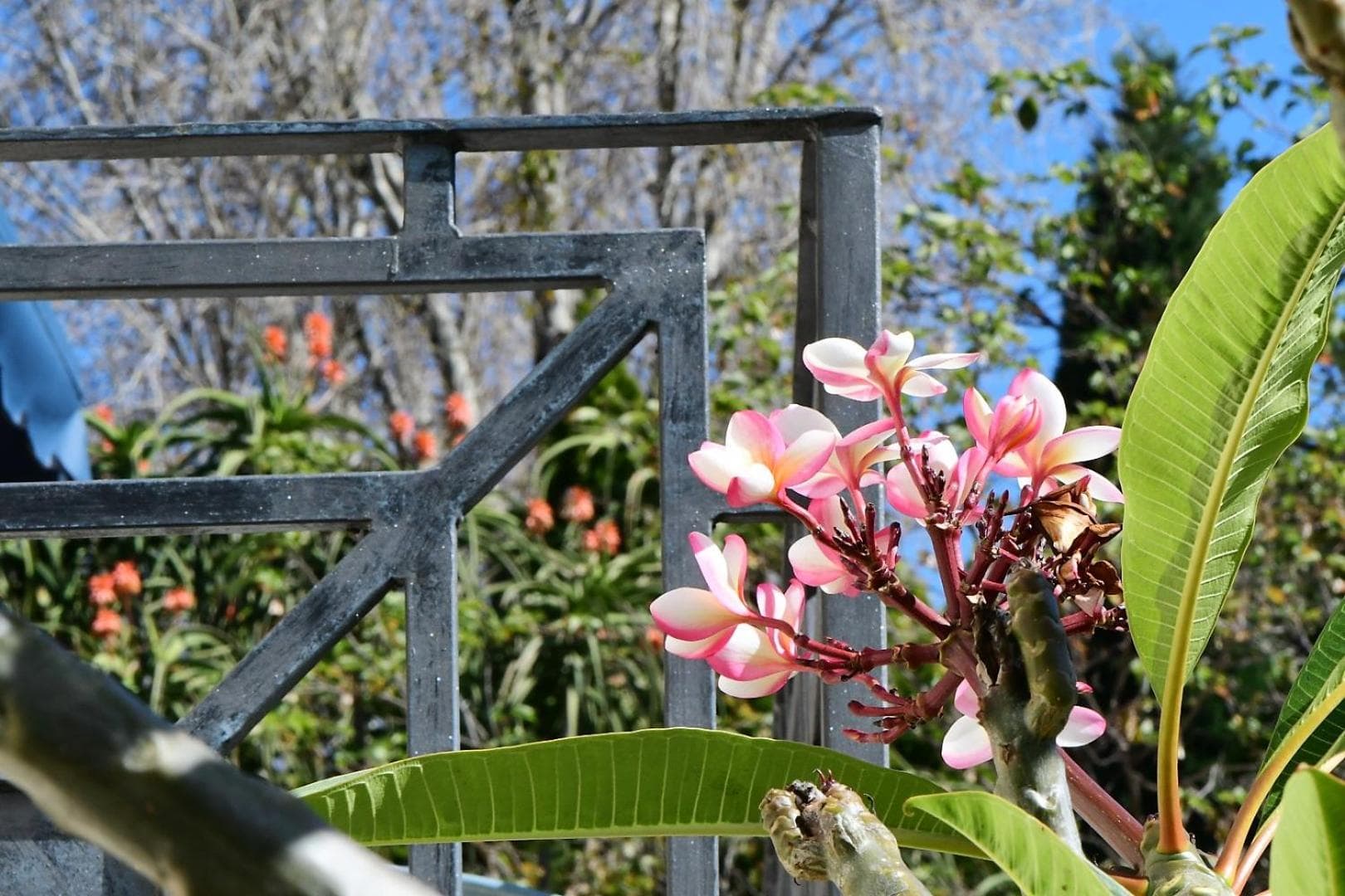 Highgrove Guesthouse Morningside Sandton