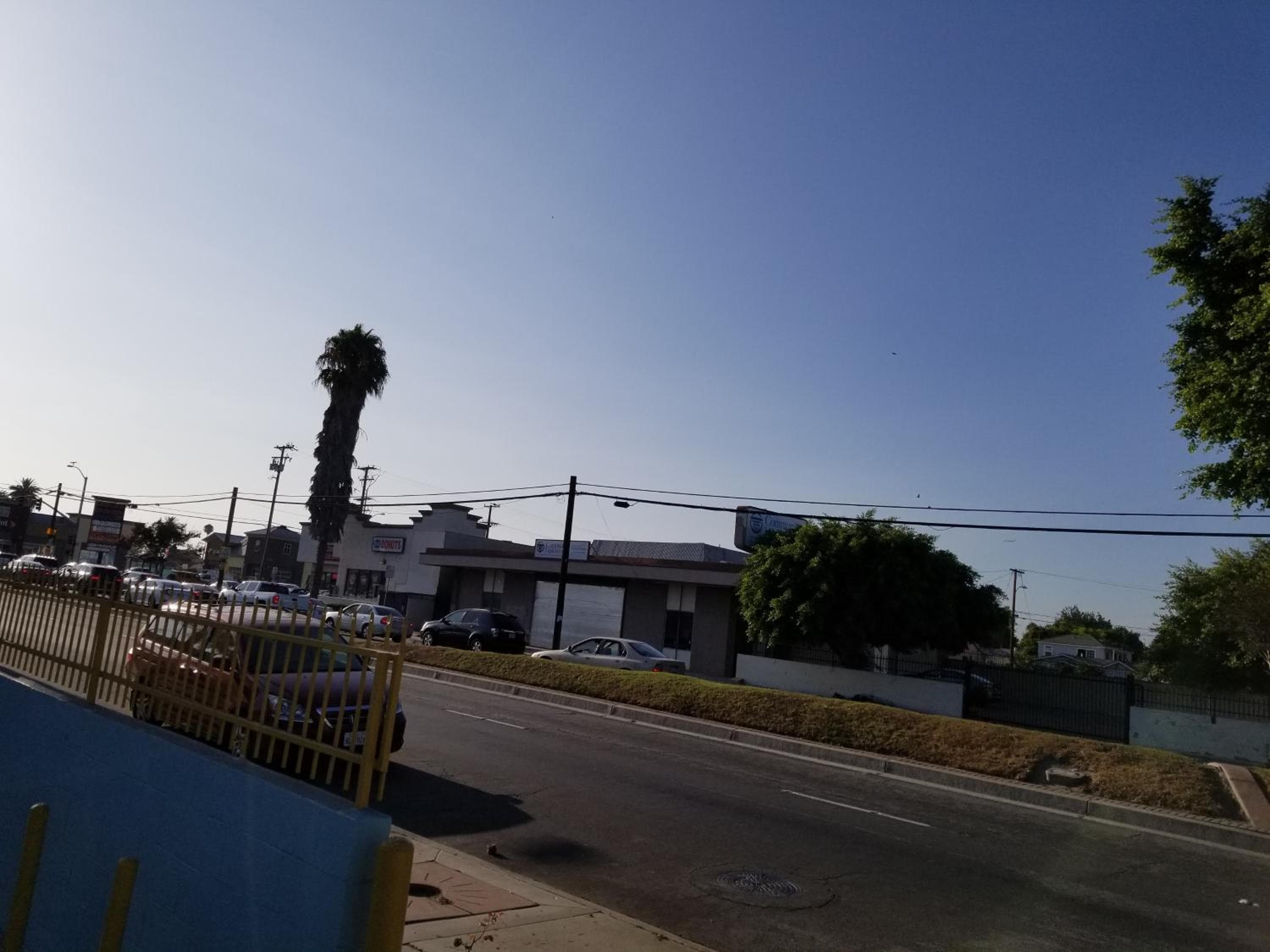 Rose motel