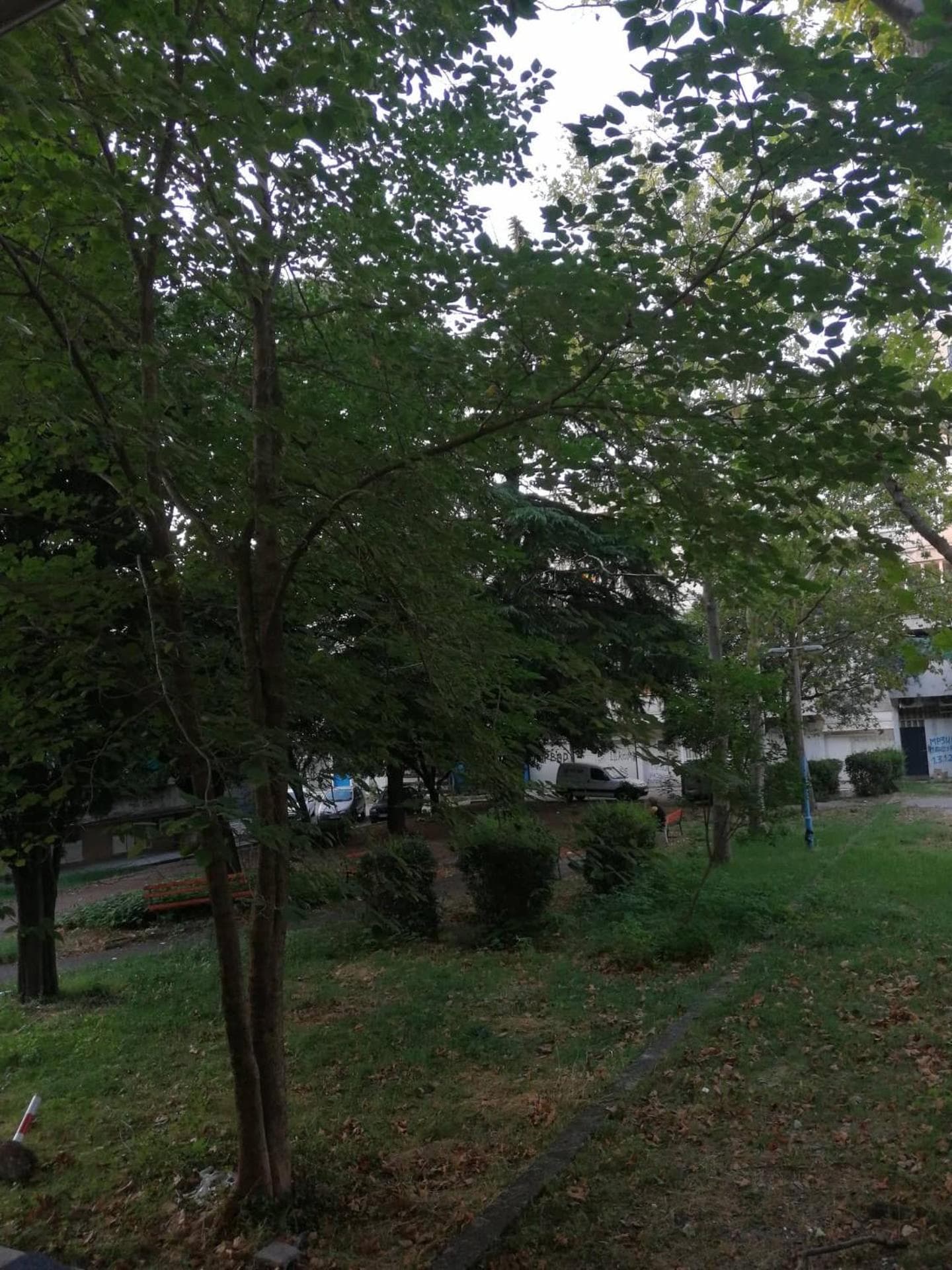 Yellow apartment, central Podgorica