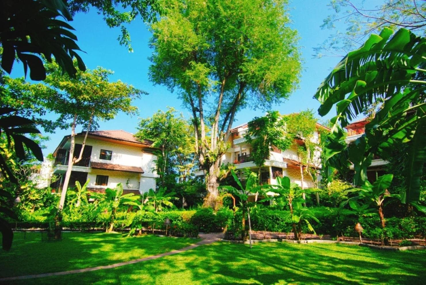 Birds and Bees Resort