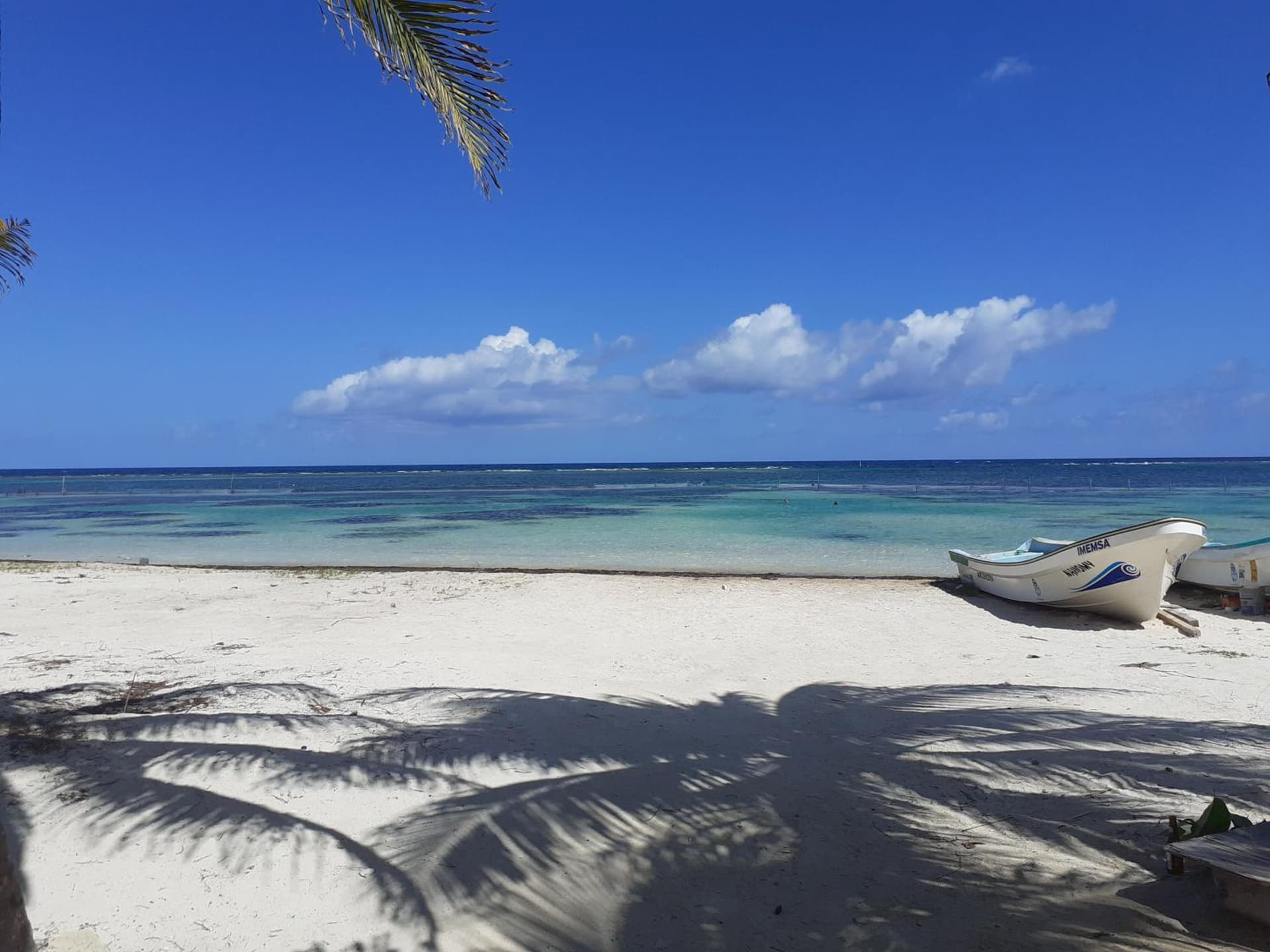 Cabañas Palmeras de Mahahual