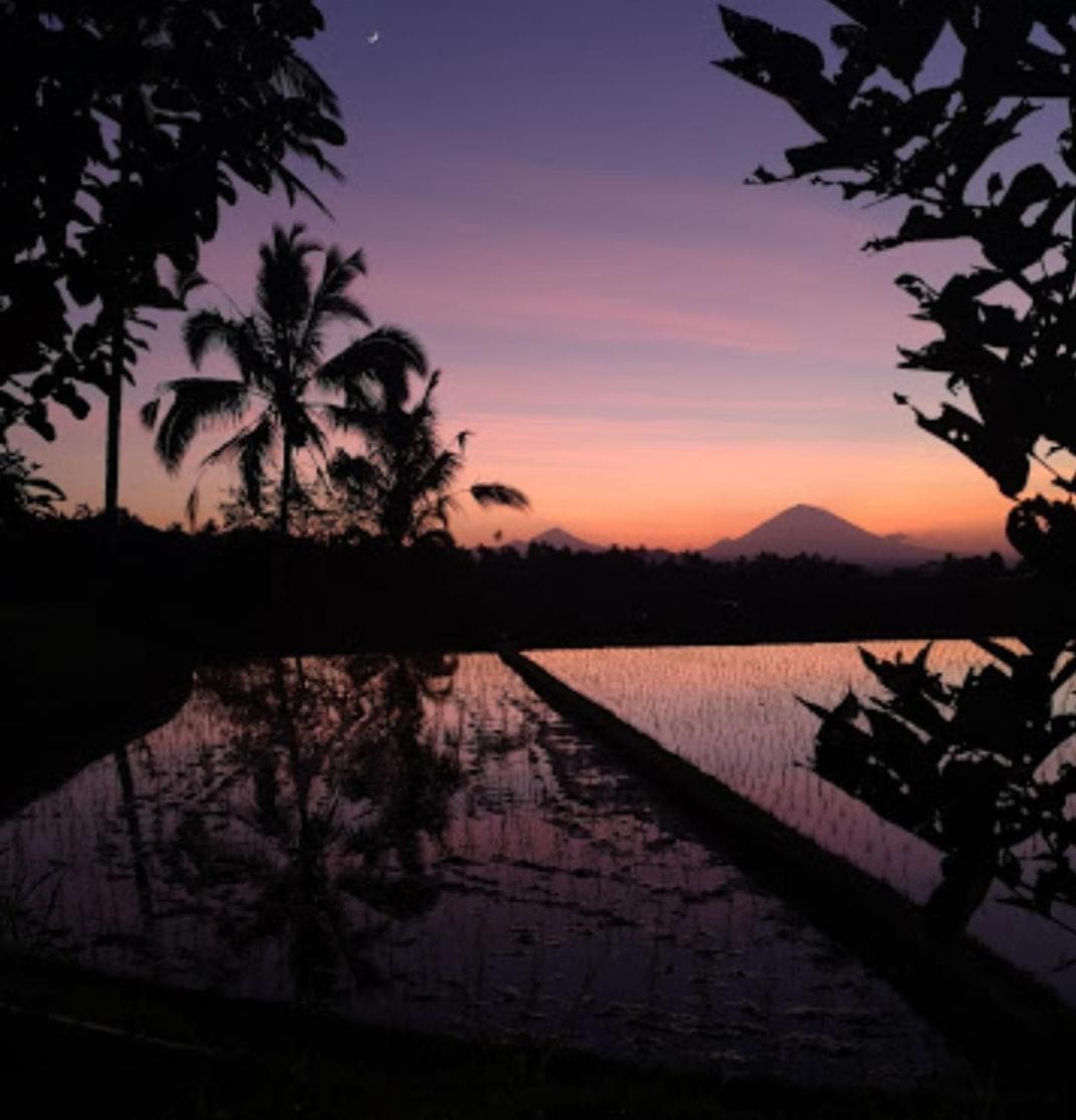 KUBU D'UME HOMESTAY