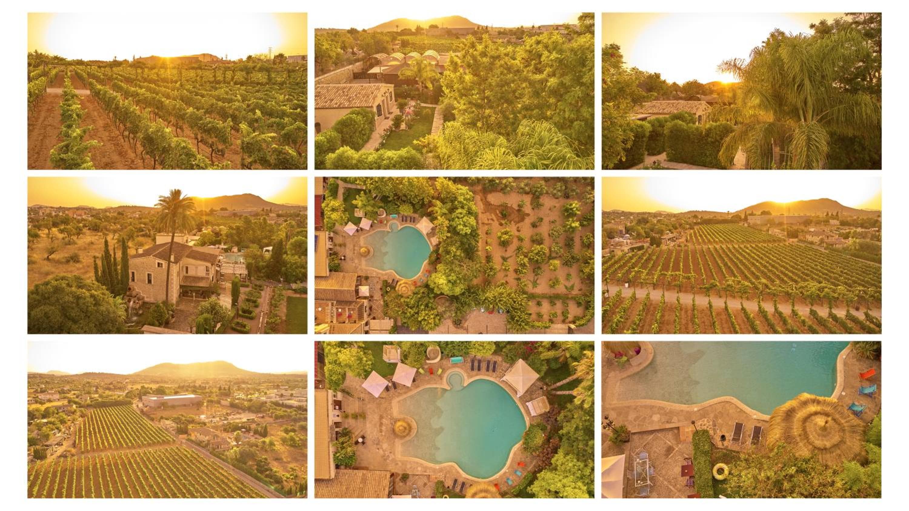 Agroturismo Sa Vinya des Convent