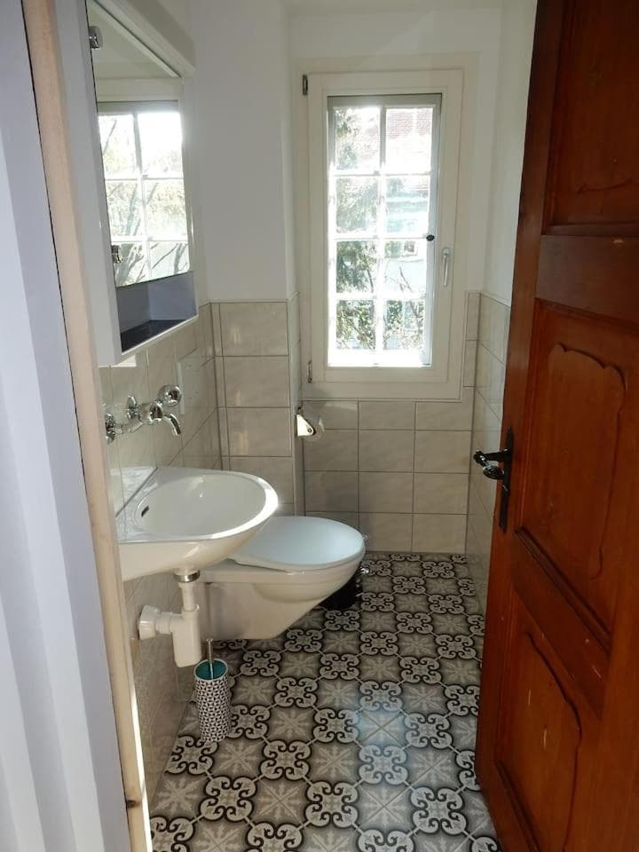 Traditional Swiss-Flat