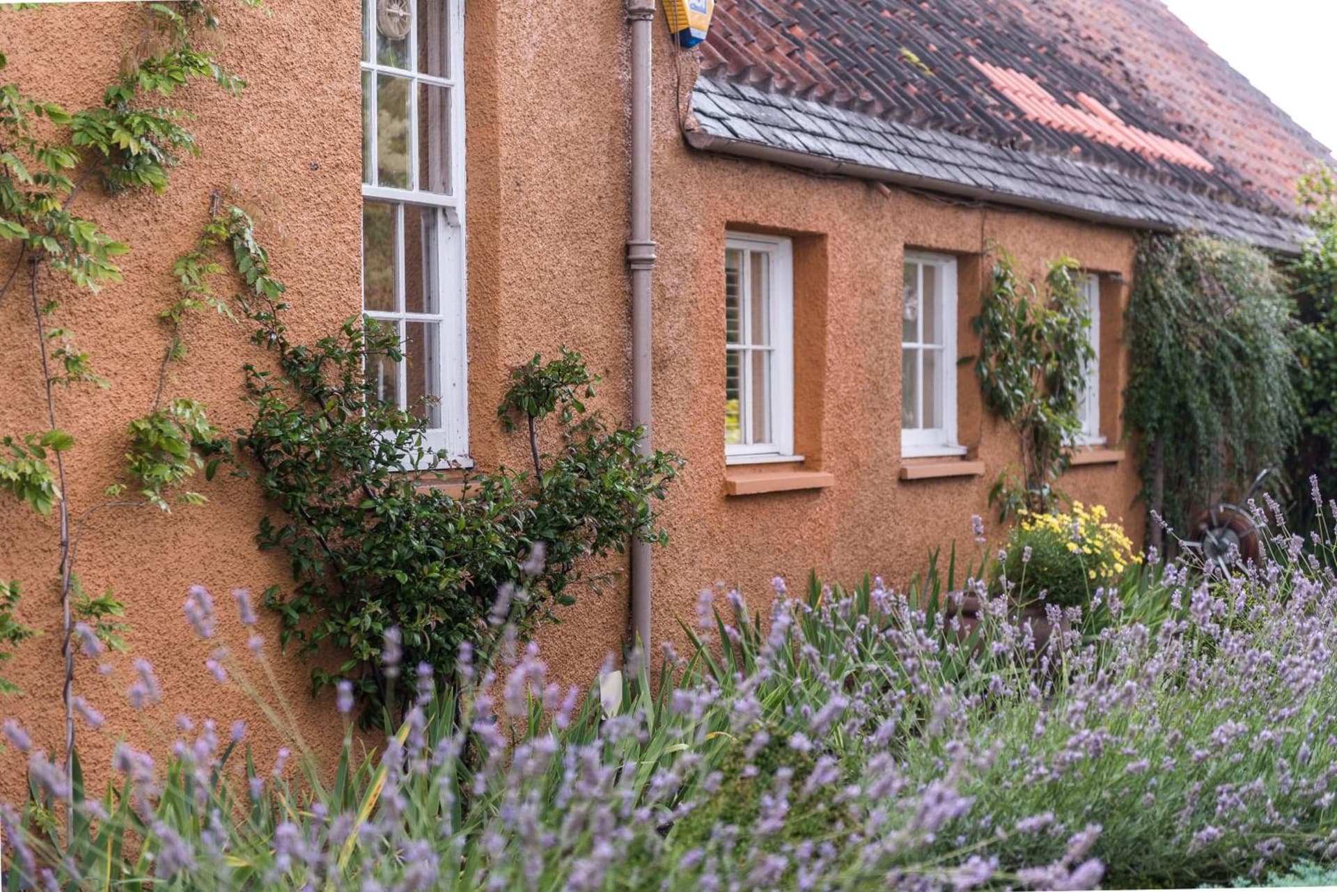 Unique cosy cottage with stunning gardens