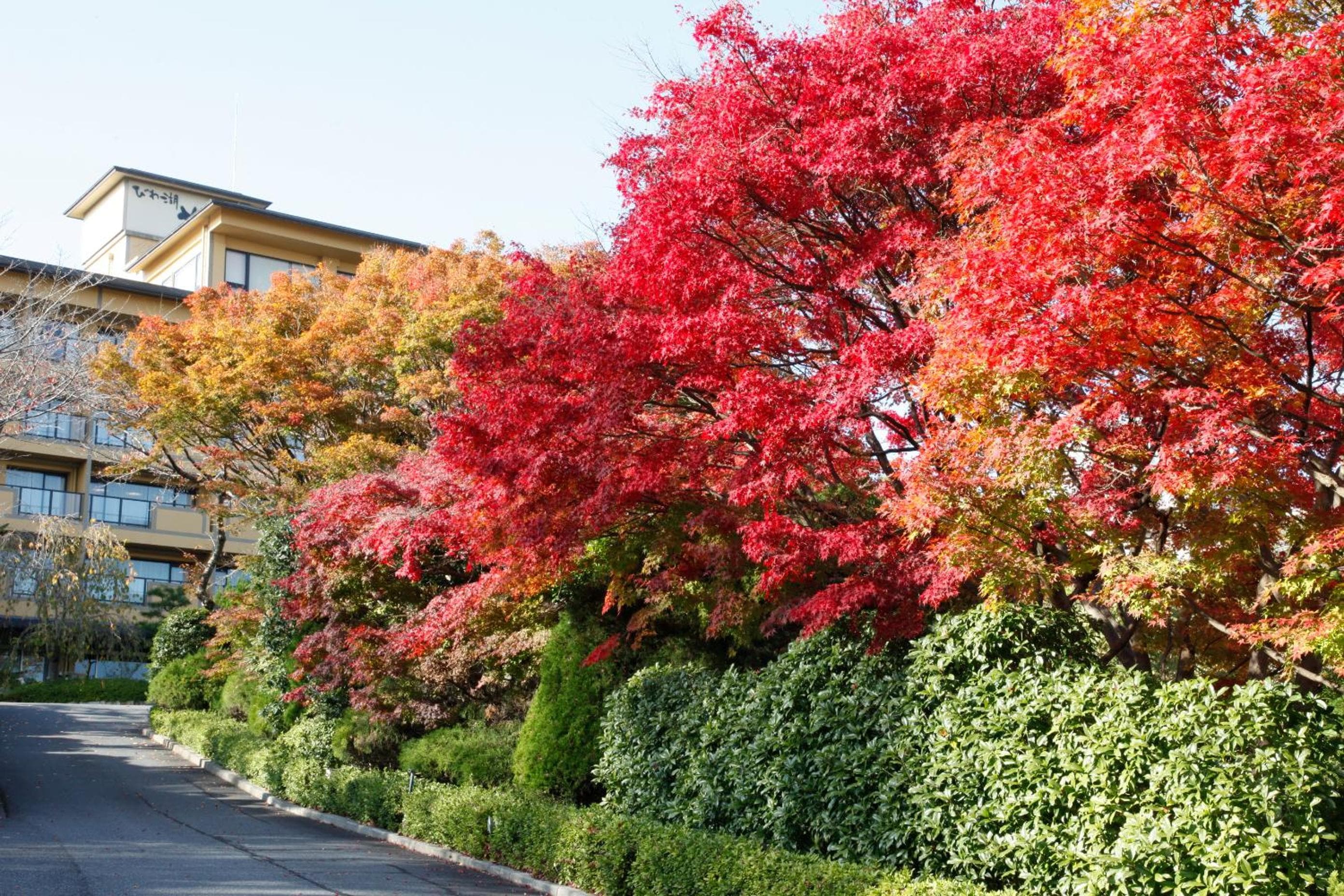 Biwako Hanakaido