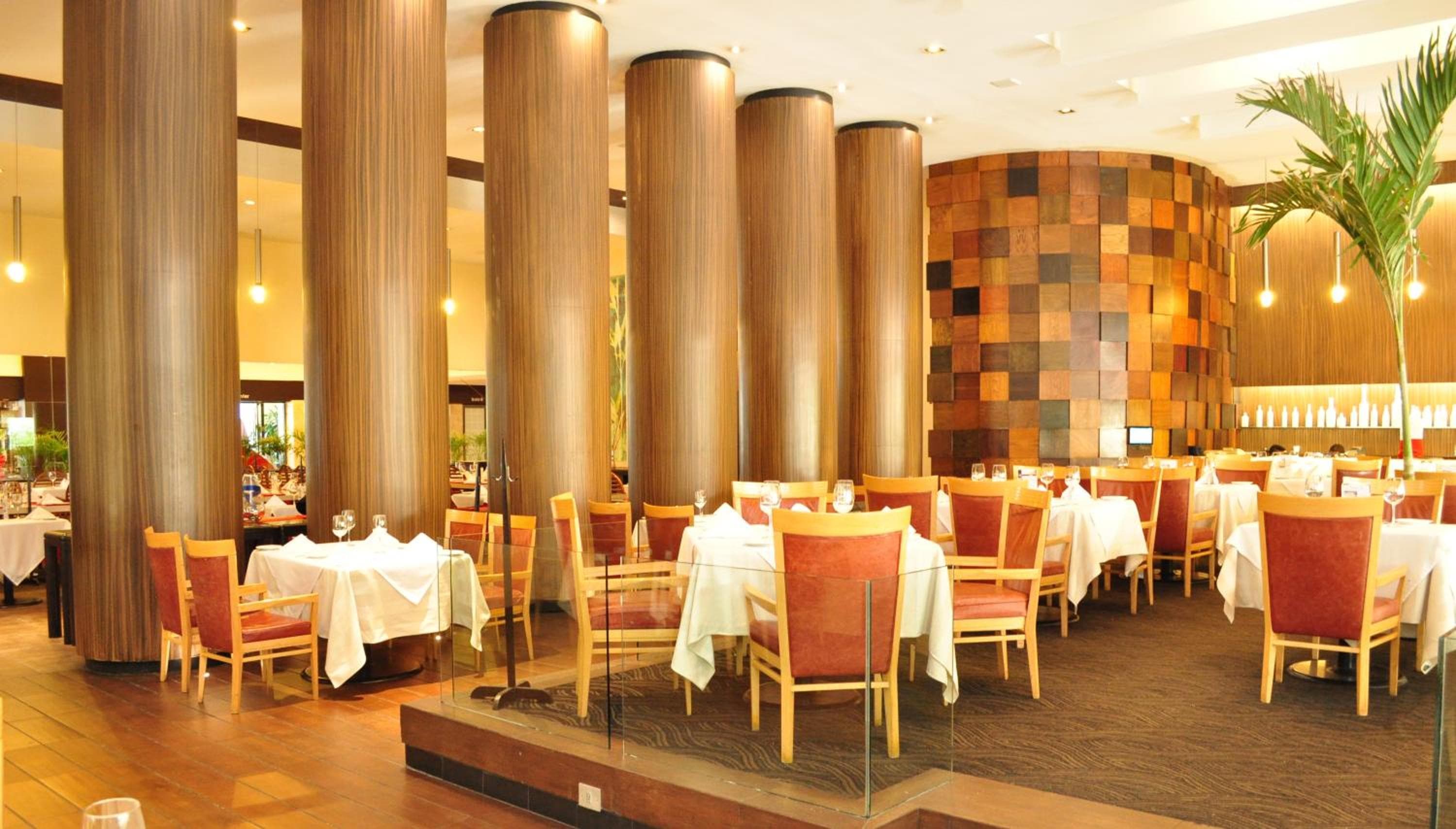 Royal Pedregal