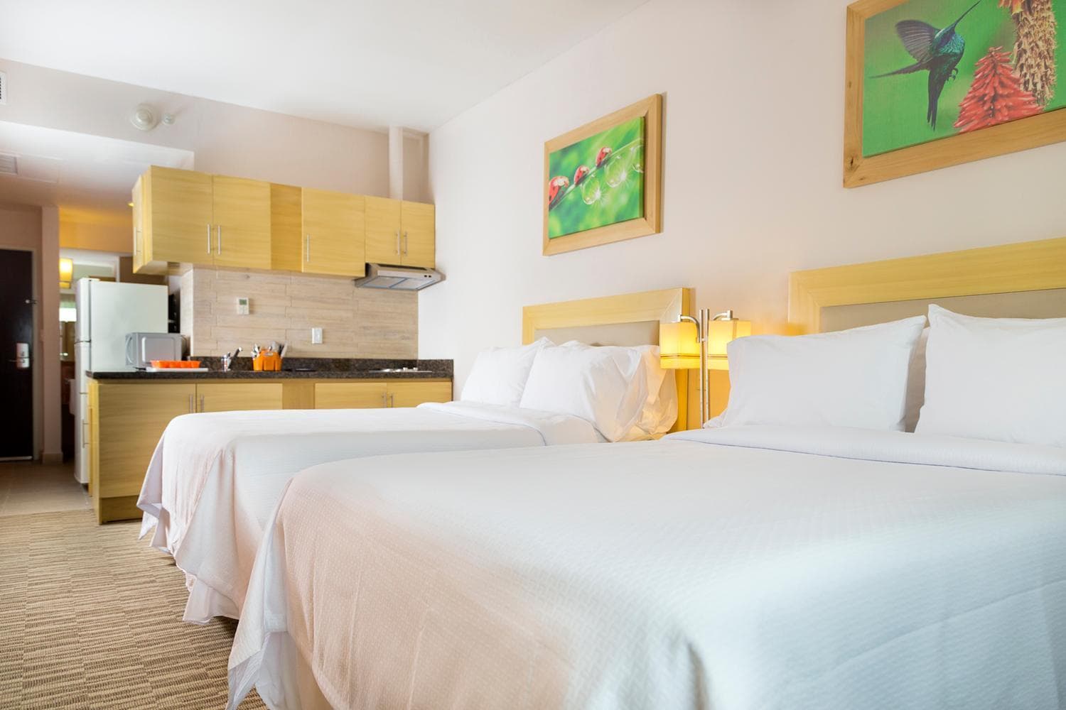 Excellence Express & Suites