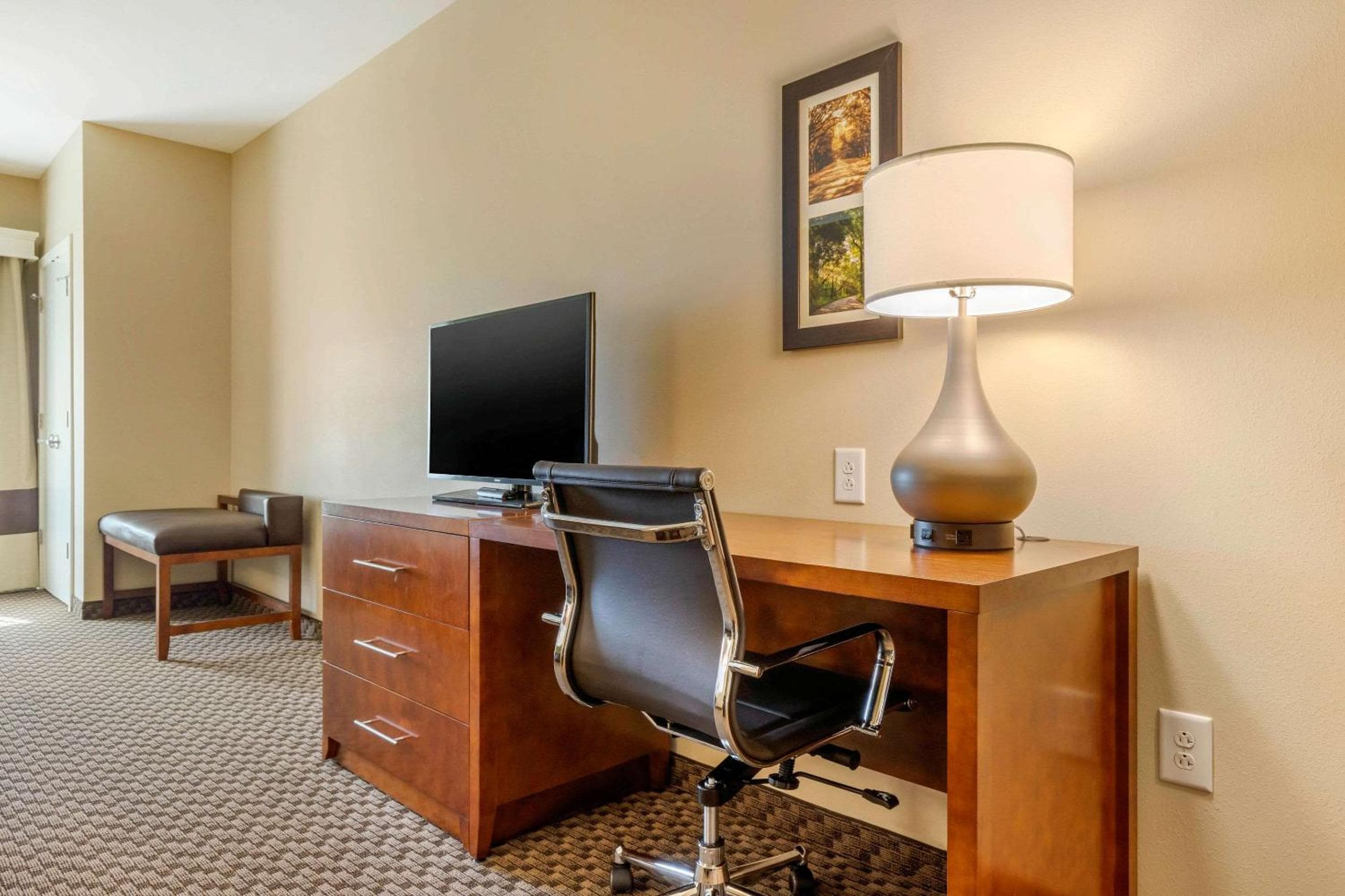 Comfort Inn & Suites Florence Center Area