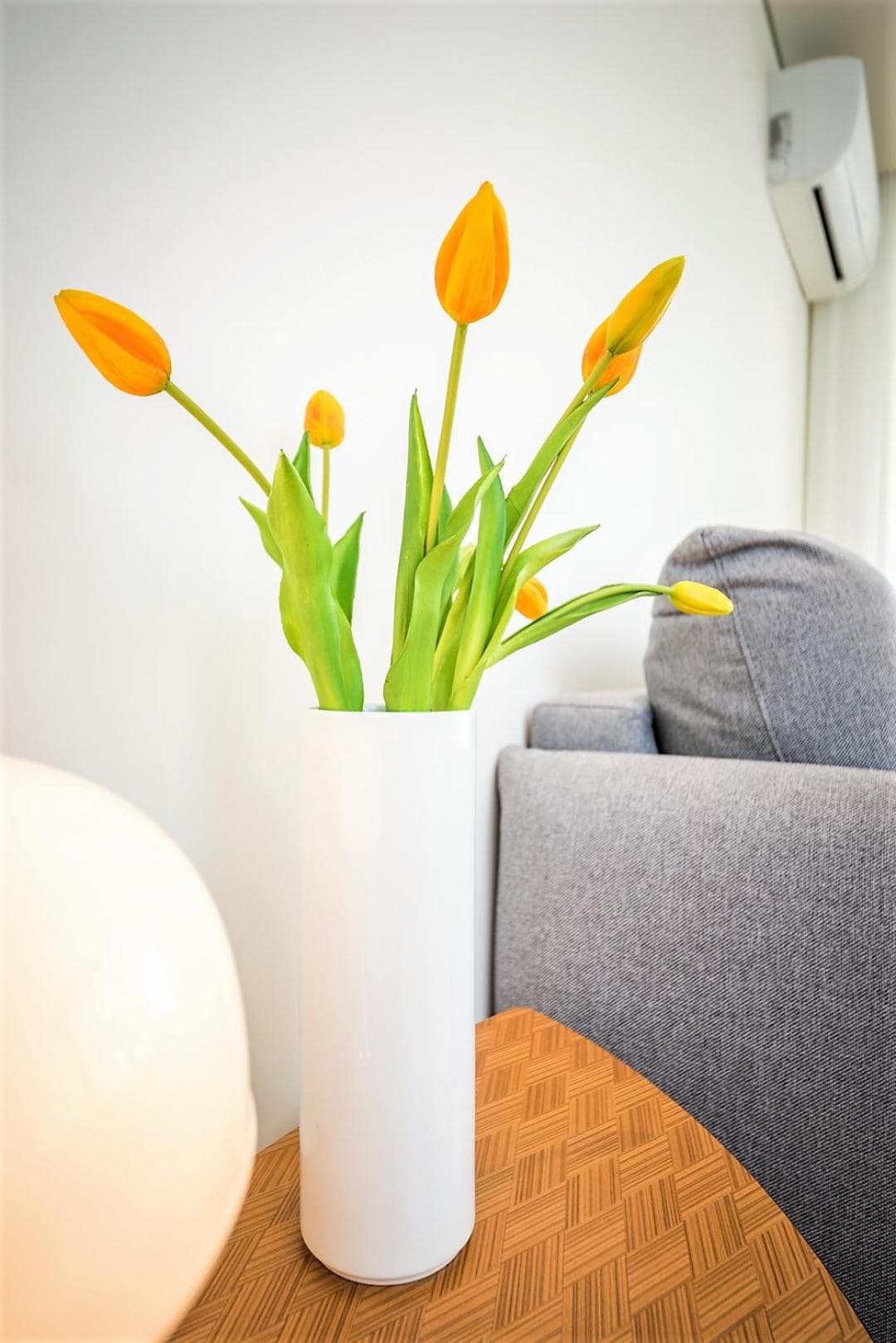Bom Jardim Apartments